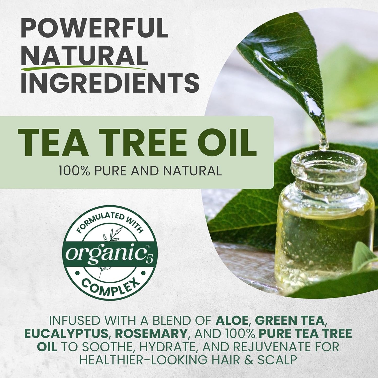 Tea Tree Oil Shampoo & Conditioner Set - Itchy Scalp Relief, Clarifying for Oily Hair | 16 fl oz Each