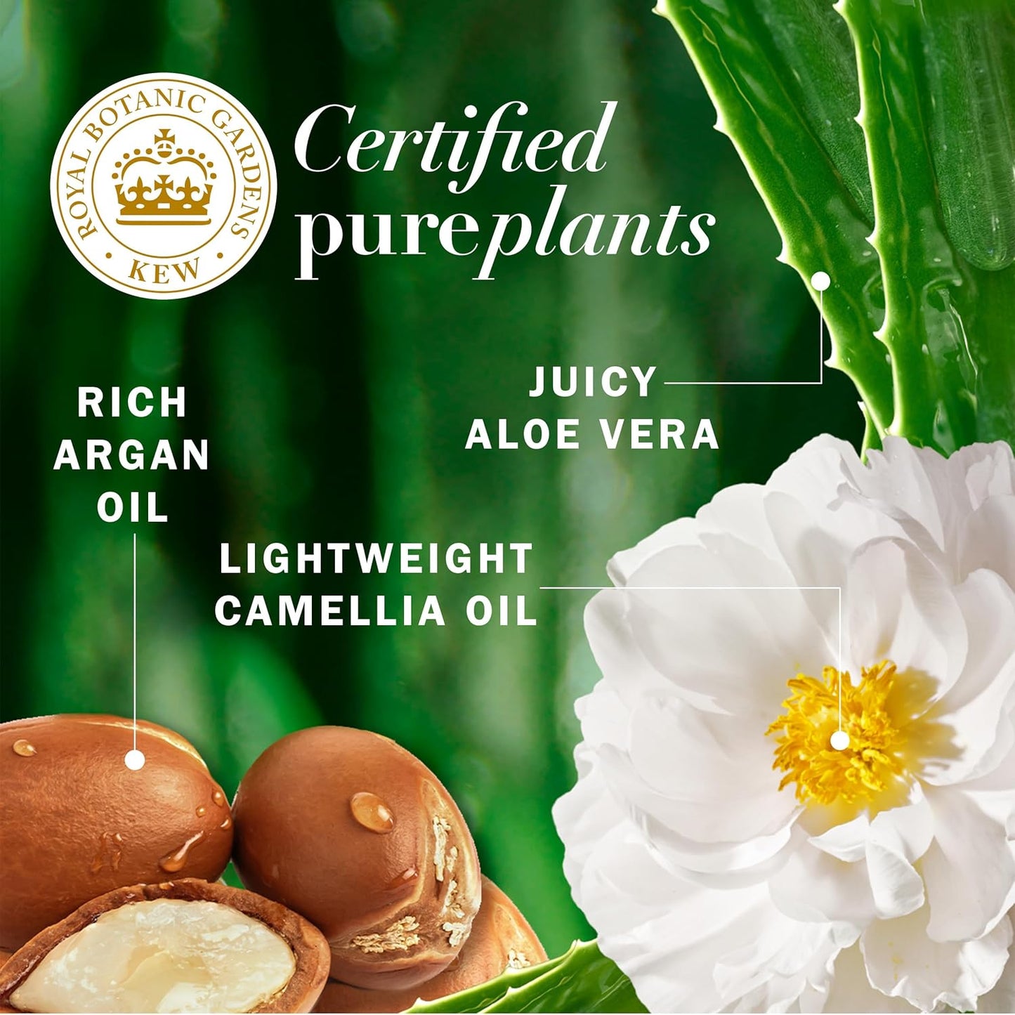 Herbal Essences Argan Oil Conditioner - Paraben Free Hair Repair | 20.2 fl oz, With Camellia Oil & Aloe Vera
