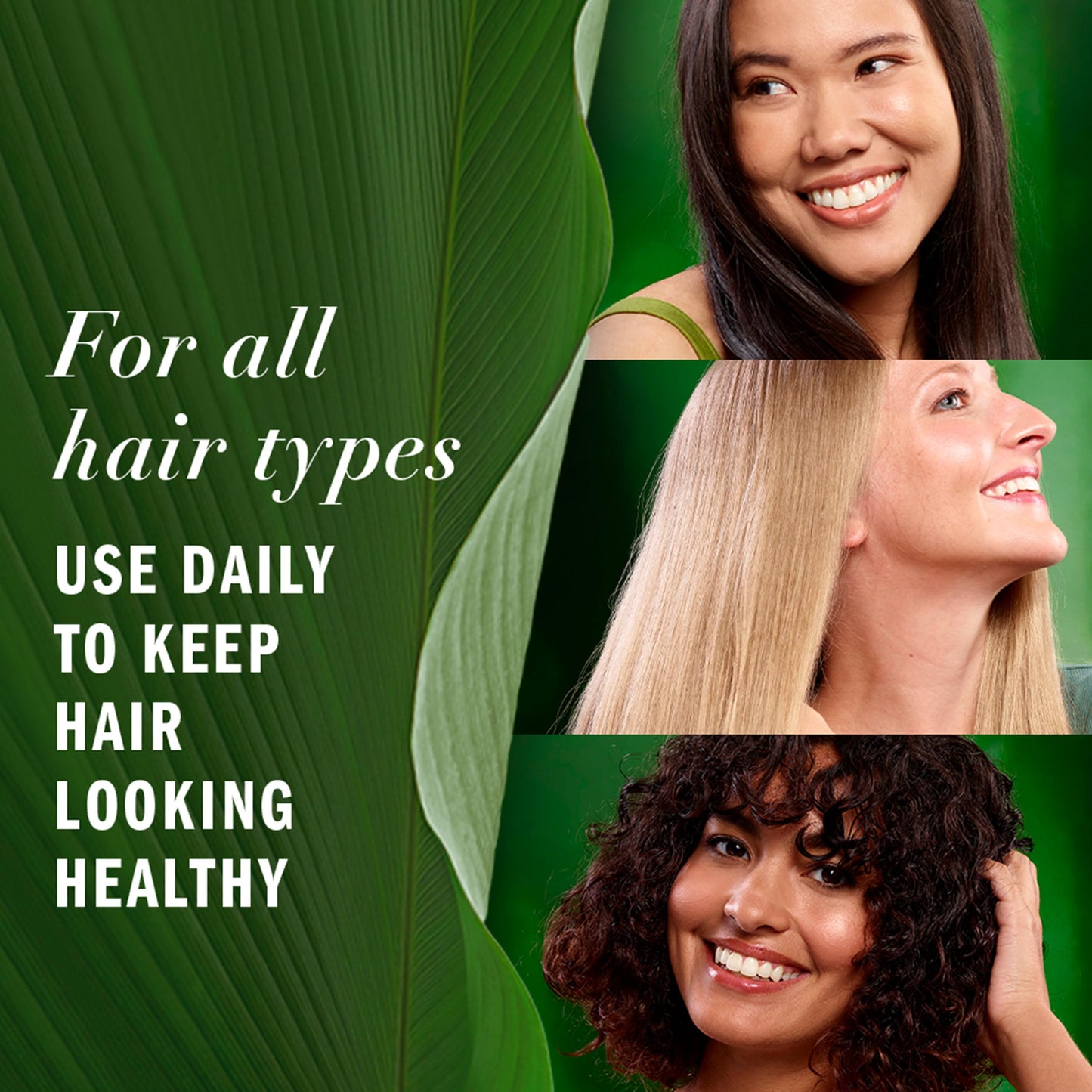 Herbal Essences Lightweight Hair Oil, Certified Pure Plants, with Aloe and Camellia Flower Oil, 3.2 fl oz