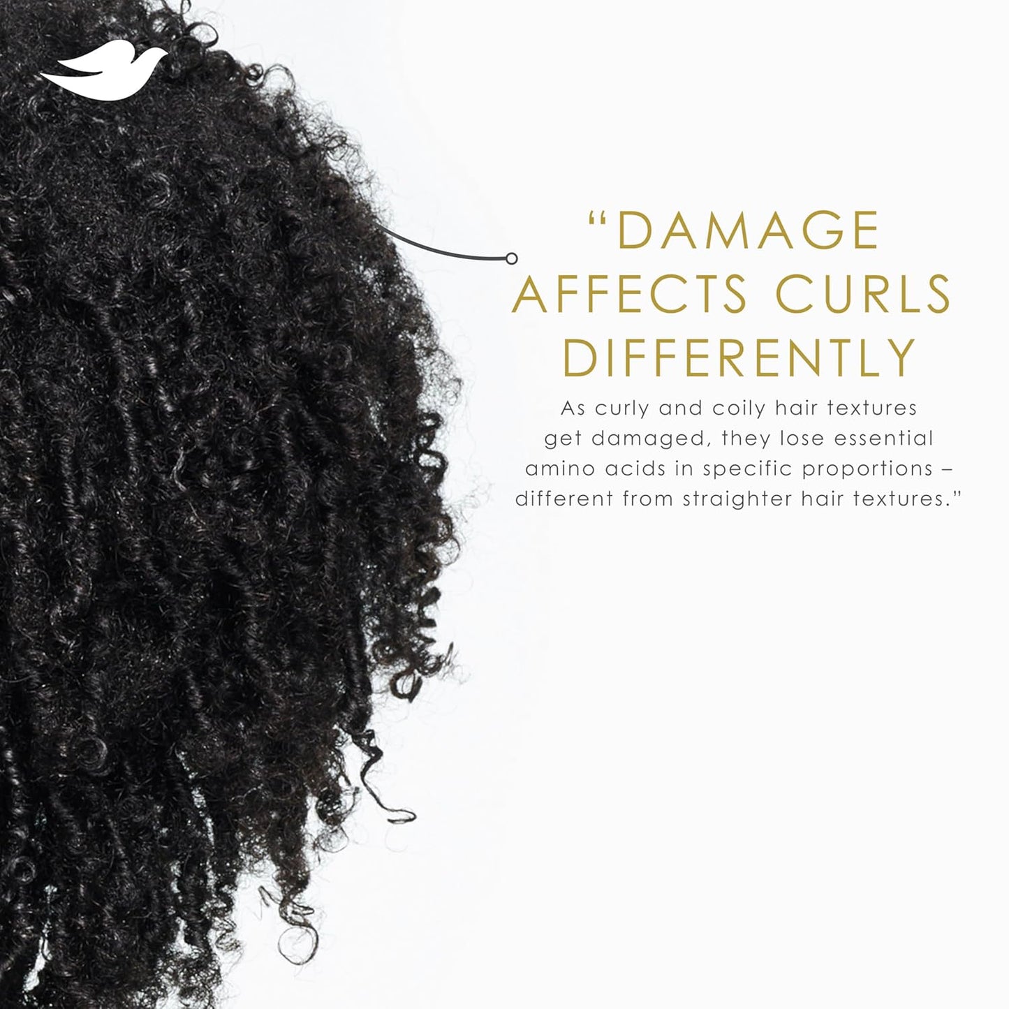 Dove Curl Cream - Amino Curl for Curly & Coily Hair with Bio-Protein Technology | 8 Fl Oz