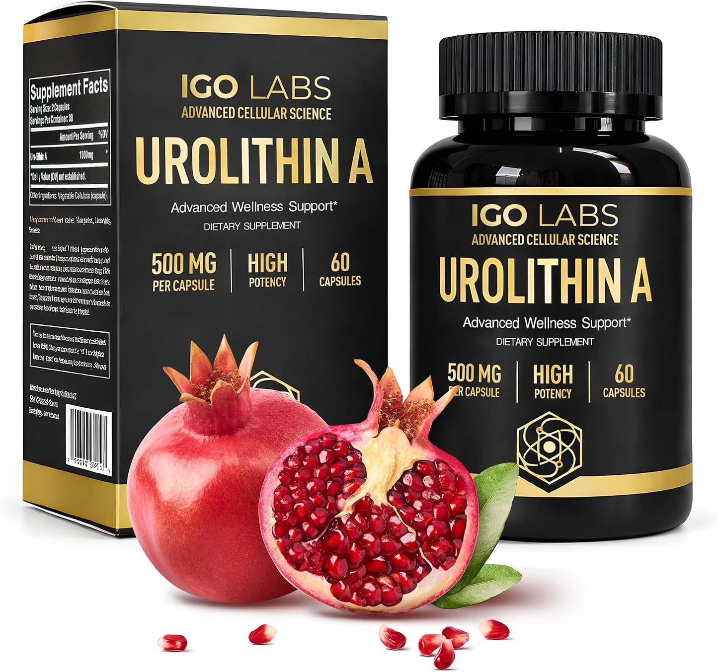 Urolithin A Capsules 500mg | High Purity Dietary Supplement for Daily Wellness - 60 Count