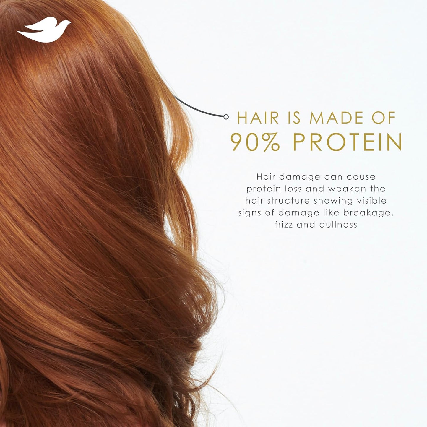 Dove Shampoo for Volume & Fullness - Bio-Protein Care Technology, Biotin | 28 Fl Oz for Fine, Thin Hair