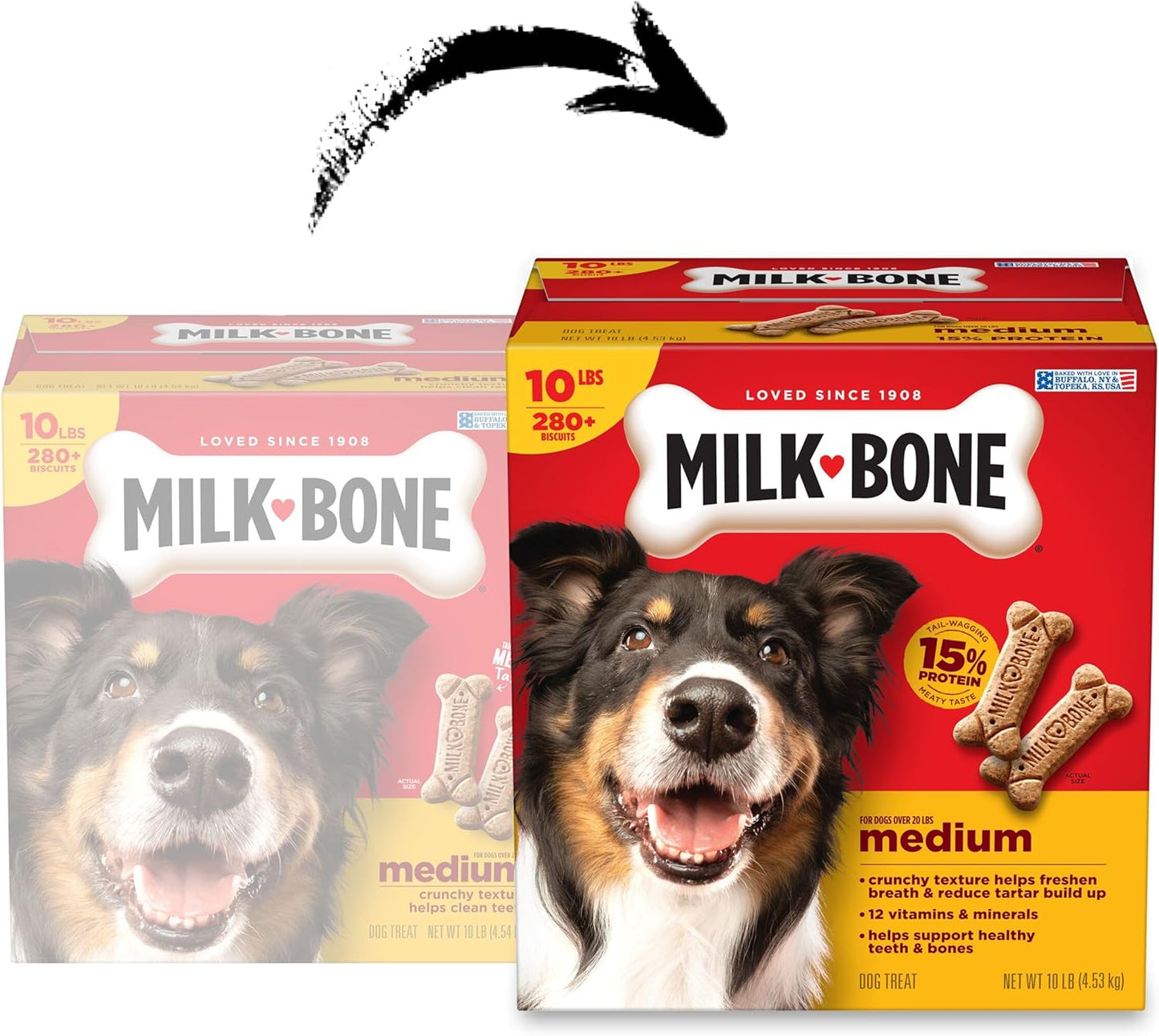 Milk-Bone Original Dog Treats - Crunchy Biscuits for Medium Dogs | 10 lb Bag