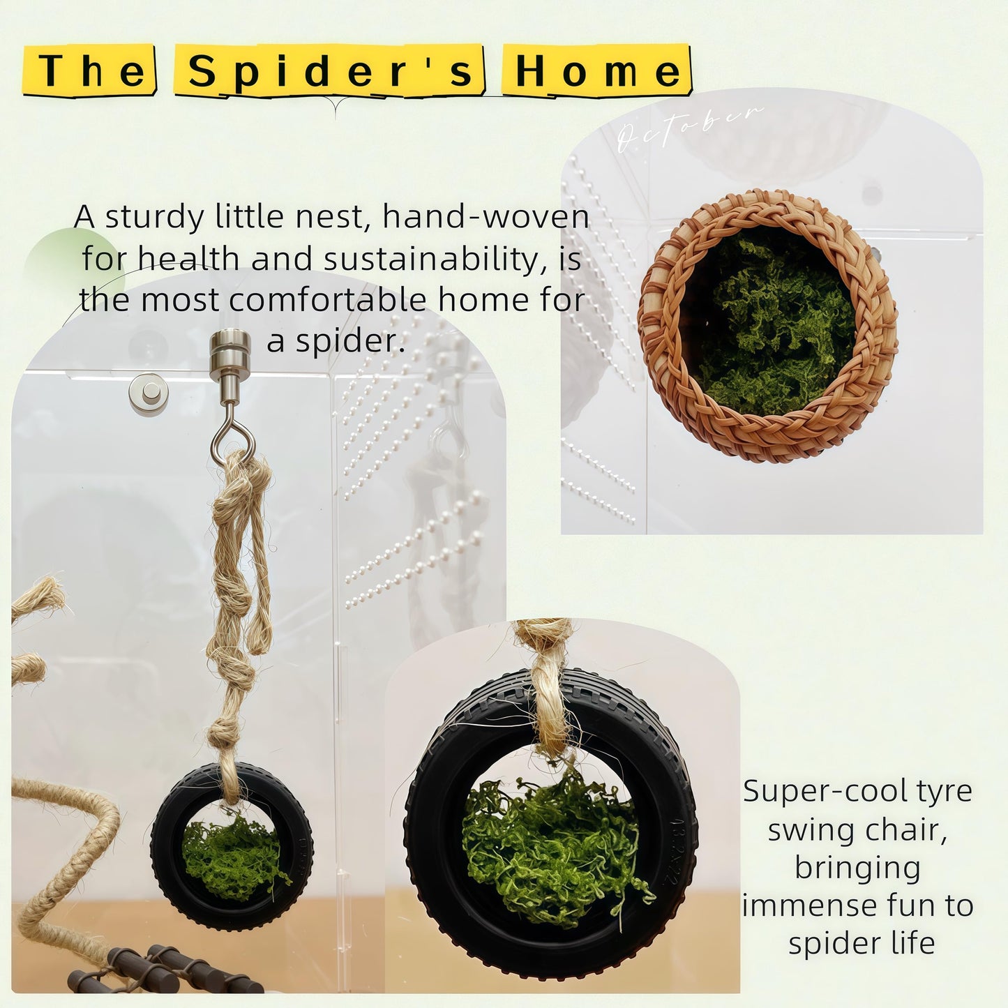 7 Pcs Jumping Spider Enclosure Accessories and Decor - Jumping Spider Rope Bridge Swings Resting, and Enclosure Styling | Spider Habitat Decor Kit