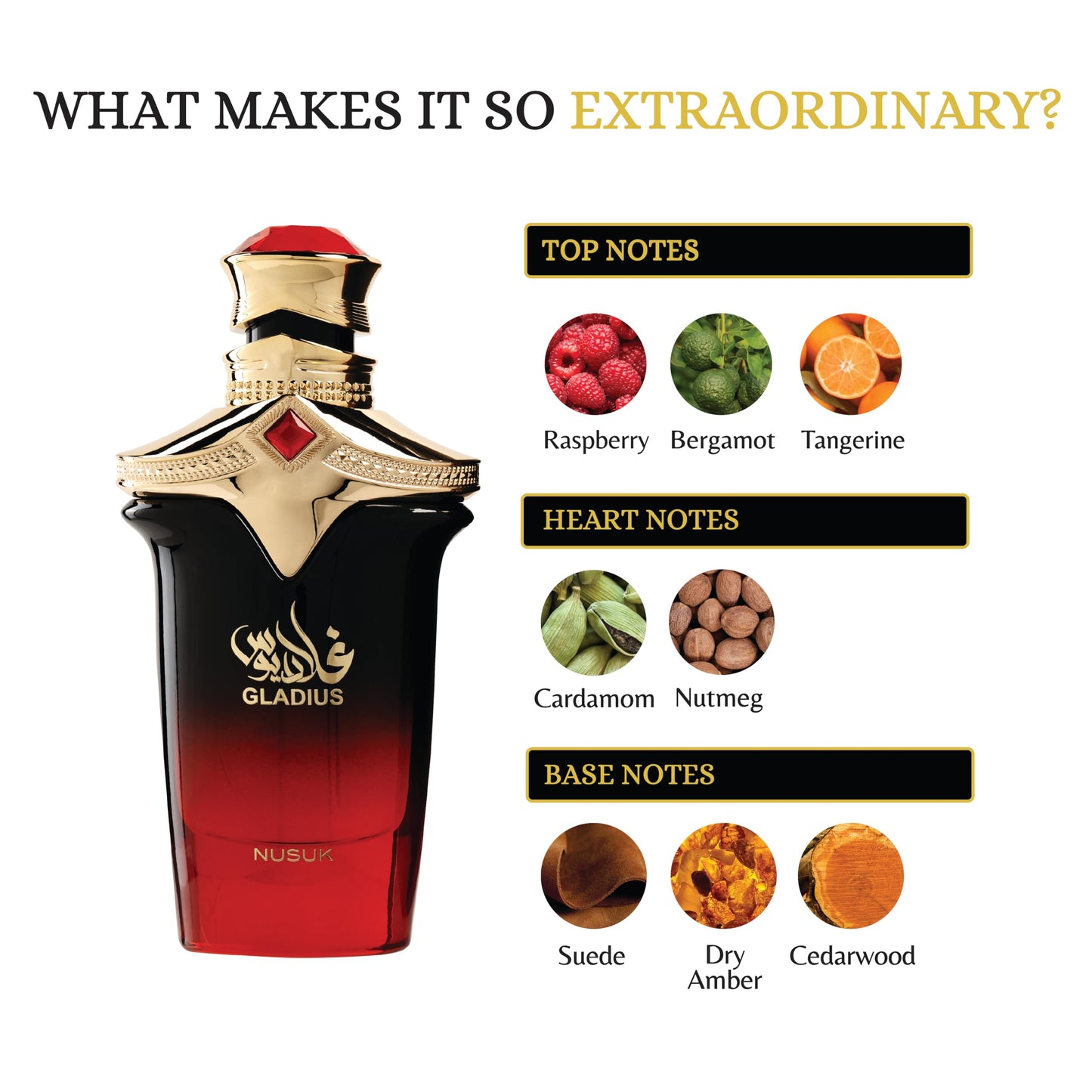 Nusuk Gladius Extrait de Parfum for Men Long Lasting Woody Aromatic Perfume with Raspberry, Bergamot & Patchouli Luxury Arabic Fragrance 100ml