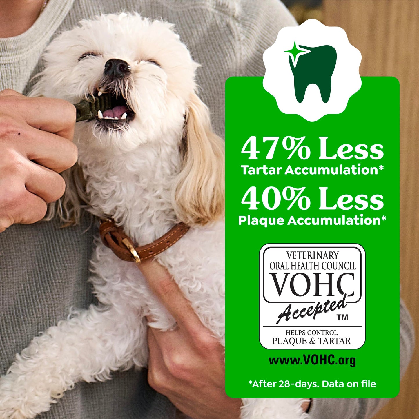 Greenies Veterinarian-Recommended Adult Natural Dental Dog Treats Regular Size, Dog Dental Chews, Original Flavor, 36 oz. Pack, 36 Count