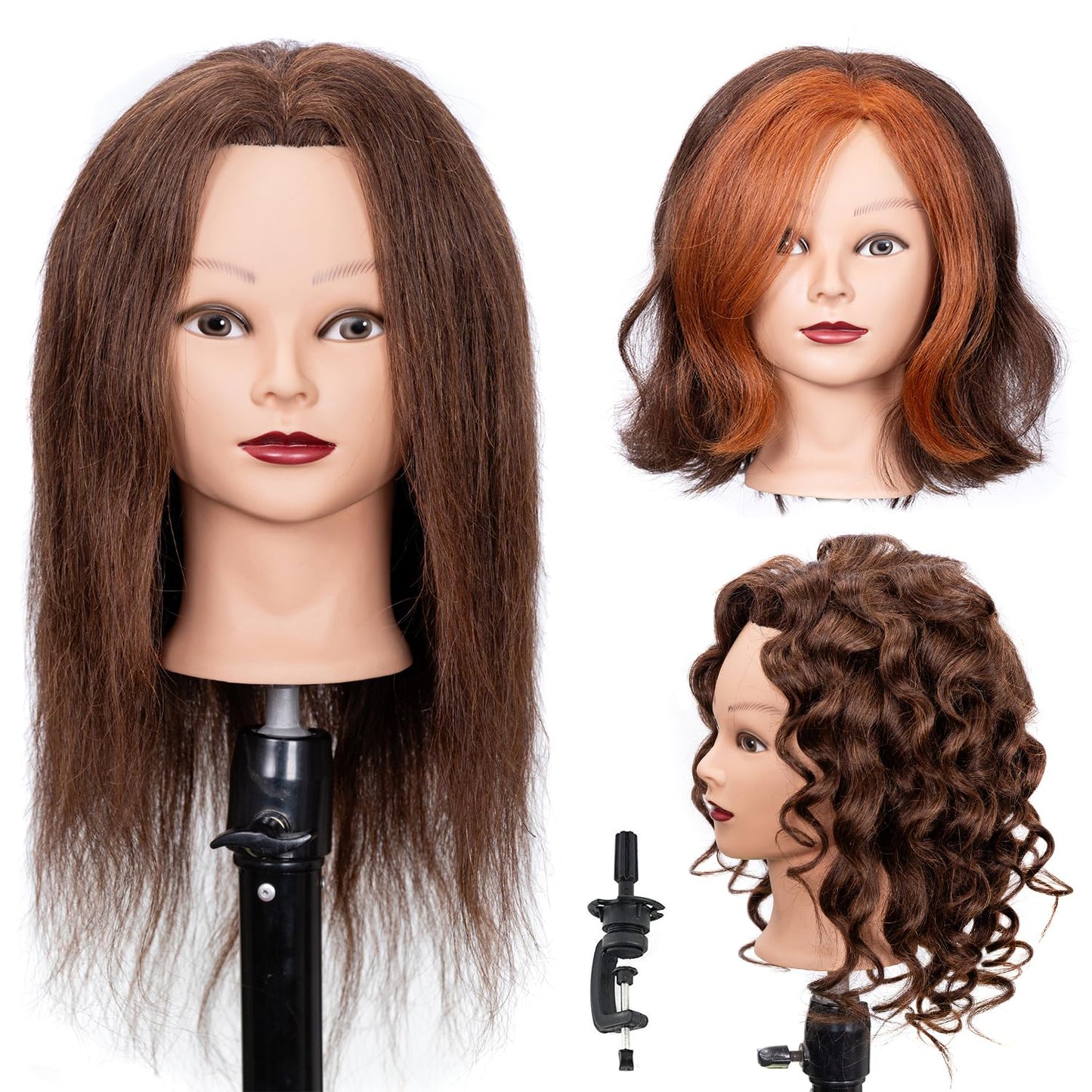 Male Mannequin Head - 14” Barber Training Head with 100% Human Hair | Dark Brown Hairdresser Manikin for Styling Practice