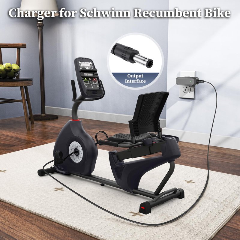 9V Charger for Schwinn A10 A20 A40 120 122 125 130 150 170 230 270 240 220 430 420 460 470 Bike Exercise Elliptical Recumbent Upright Trainer Power Cord for Schwinn Upright Bike Power Adapter