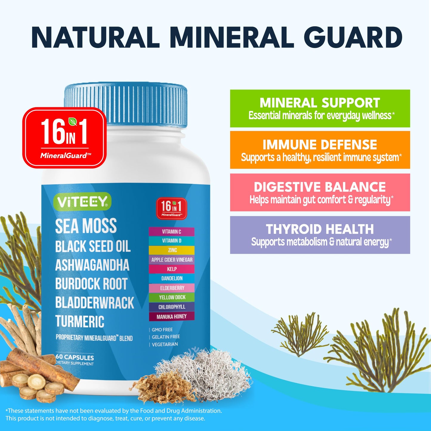 Viteey Sea Moss Capsules with Black Seed Oil – Irish Sea Moss Supplement with Bladderwrack, Burdock Root & Ashwagandha – Immune & Mineral Support - 60 Capsules