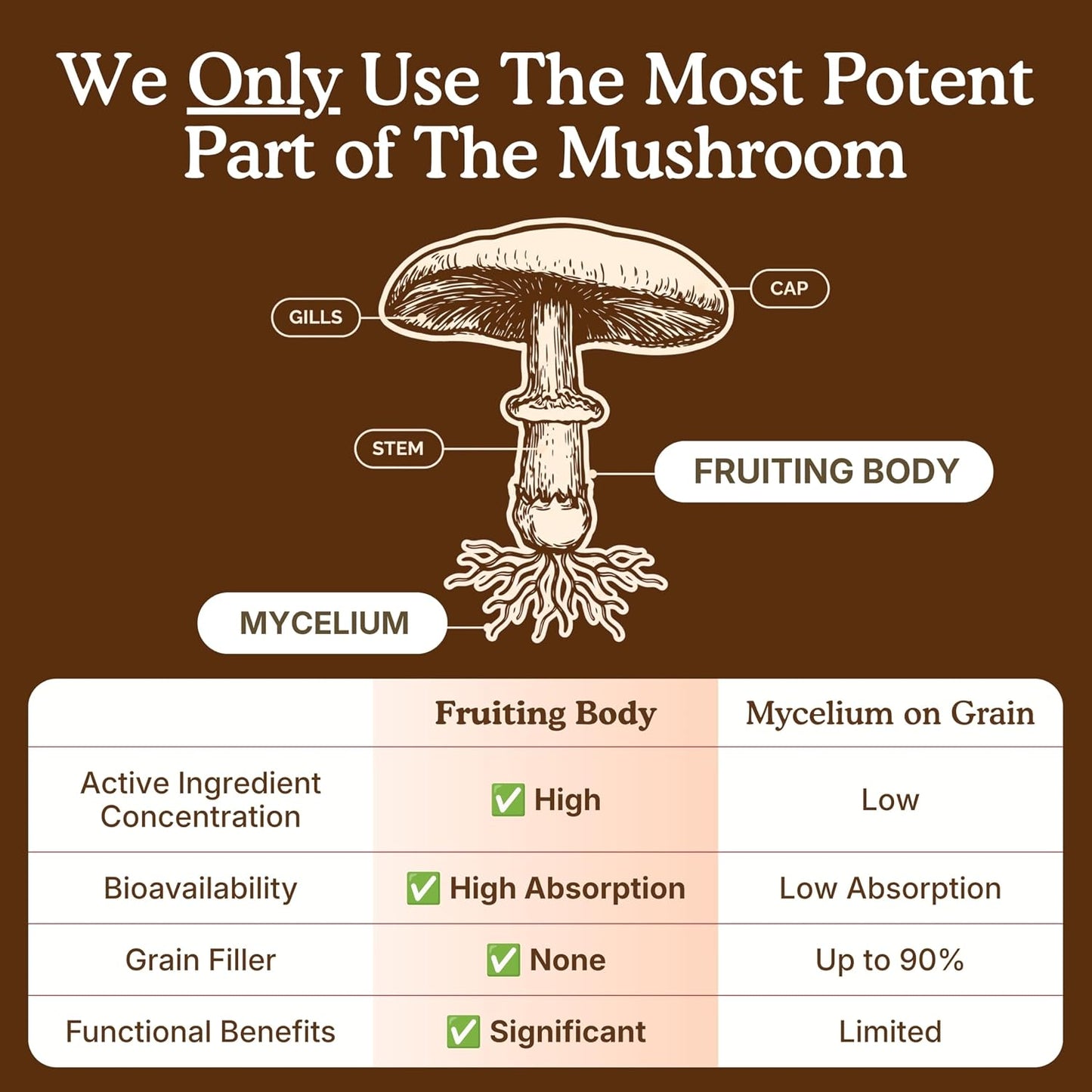 Organic Mushroom Supplement Powder - Focus & Immune Support | 100% Fruiting Body, Lions Mane, Reishi & More - 60 Servings