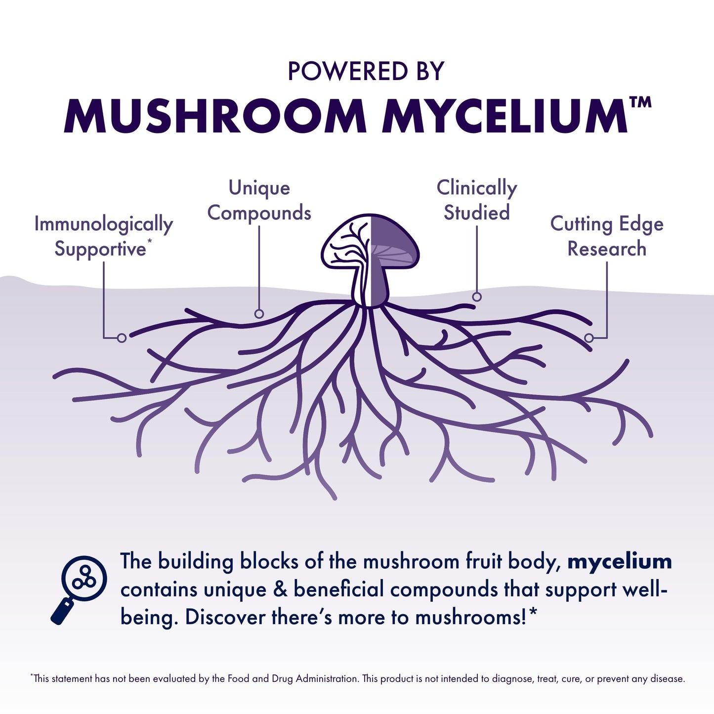 Host Defense Mushrooms Lion's Mane Extract - Lion's Mane Liquid Supplement for Brain Health - Mushroom Support for Focus & Memory Function - Immune & Nervous System Support - 1 fl oz (30 Servings)*