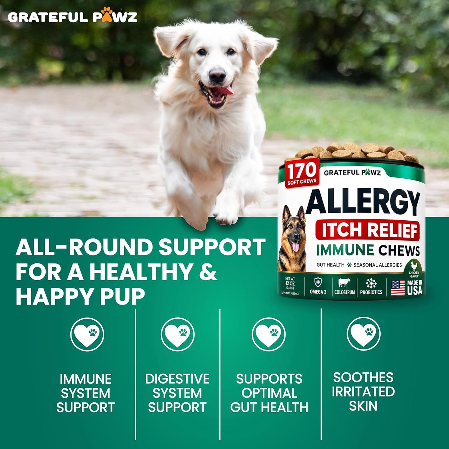 Dog Allergy Chews - Natural Allergy Relief Treats with Probiotics & Colostrum | 170 Count for Itchy Skin & Immune Support