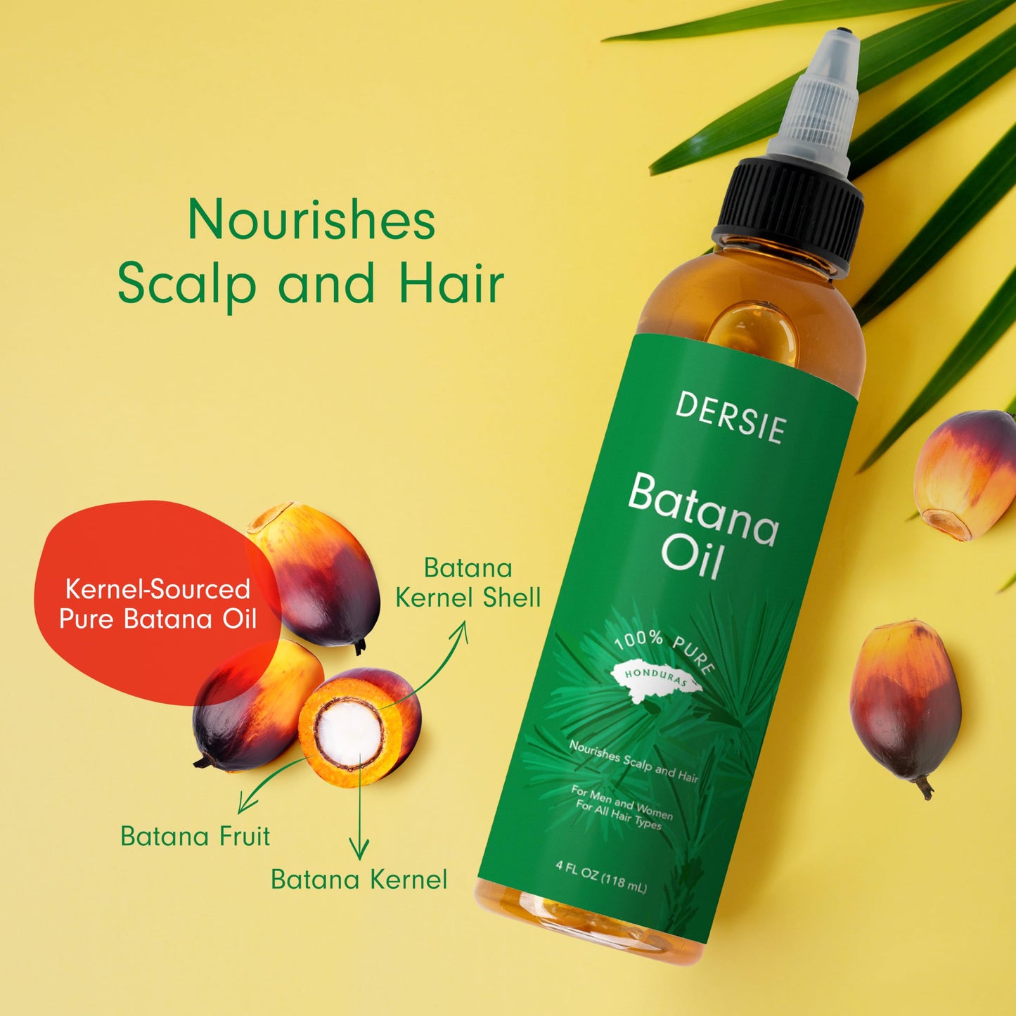 Dersie 100% Pure Batana Oil - Organic Lightweight Leave-In & Pre-Wash Oil for Dry, Damaged, High Porosity Hair - Scalp & Hair Care for Healthier, Longer-Looking Hair - Honduras Sourced (4 fl oz)