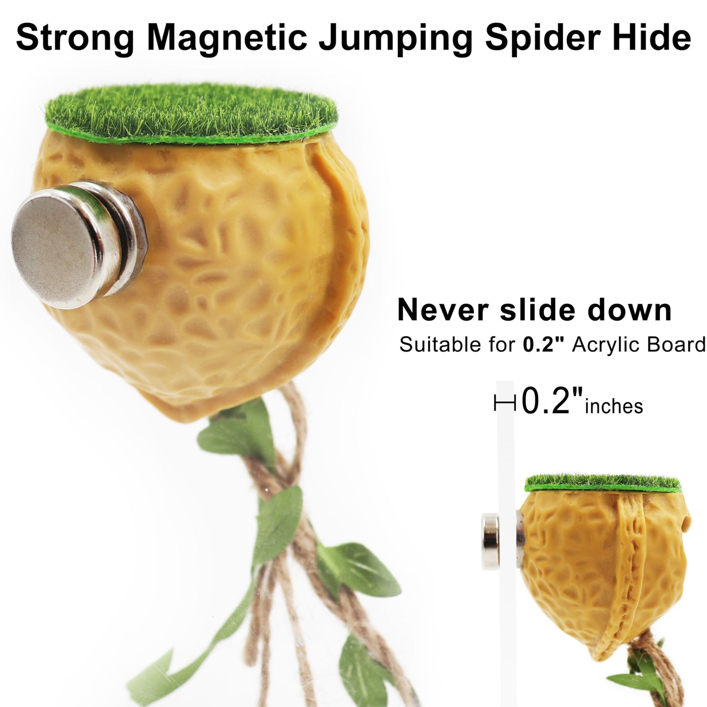 Magnetic Jumping Spider Hide Habitat, Jumping Spider Accessories, Jumping Spider Enclosure Accessories Decor, Climbing Platform, Suitable for Small Insects (2"X1.9")