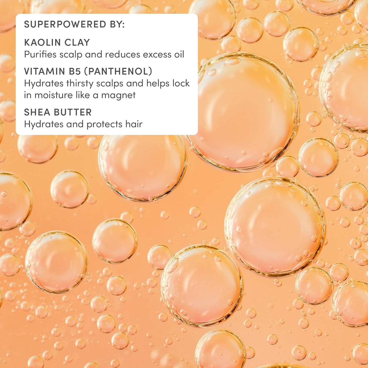 Kids After-Swim & Sports Shampoo - Cleansing Clay Detoxifies Hair & Scalp | Vegan, Dermatologist-Tested, All Hair Types, Ages 3+