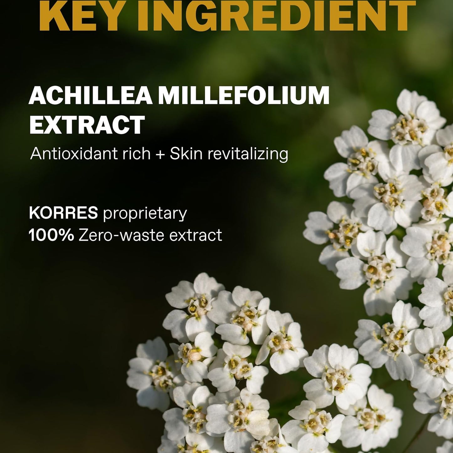 KORRES Bergamot & Leather Cologne - Elegant Men’s Fragrance with Citrus, Orange Blossom & Patchouli | 3.38 Fl Oz