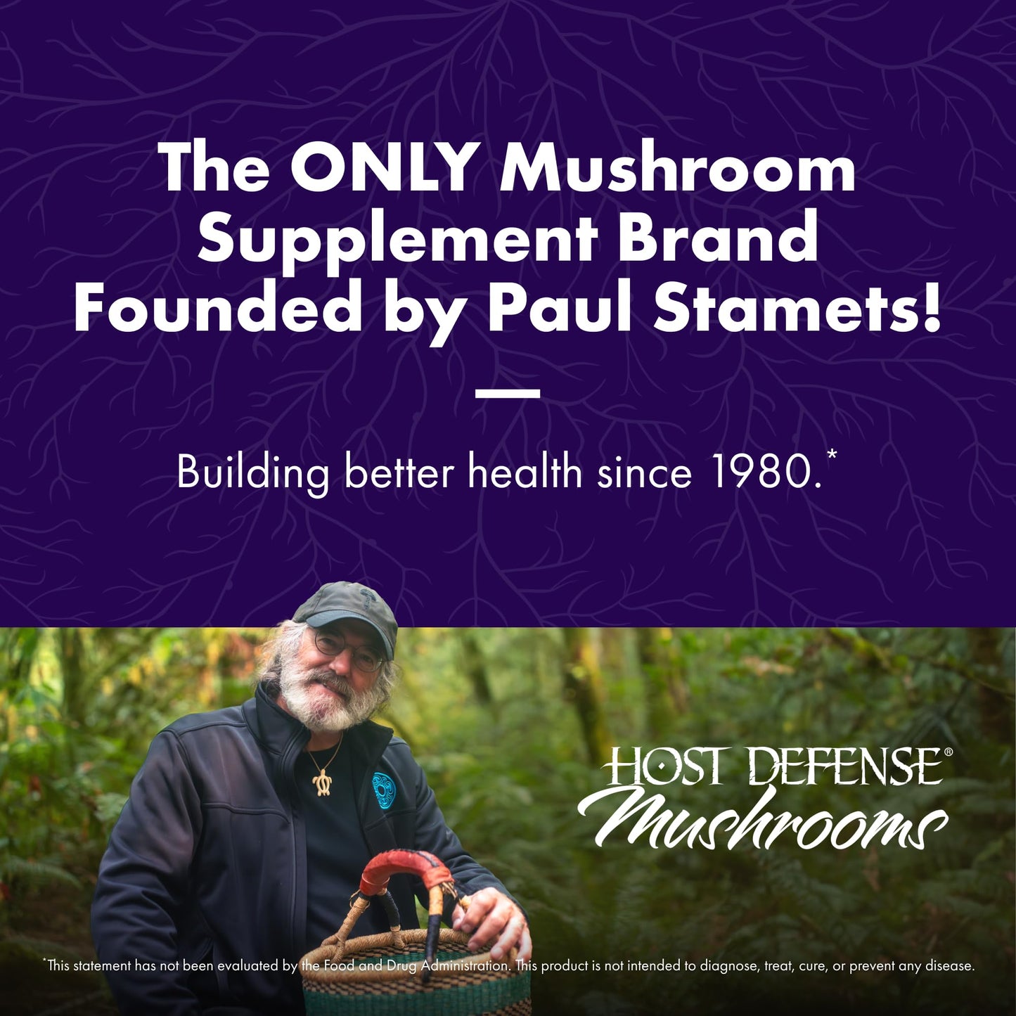 Host Defense Mushrooms Lion's Mane Extract - Lion's Mane Liquid Supplement for Brain Health - Mushroom Support for Focus & Memory Function - Immune & Nervous System Support - 1 fl oz (30 Servings)*