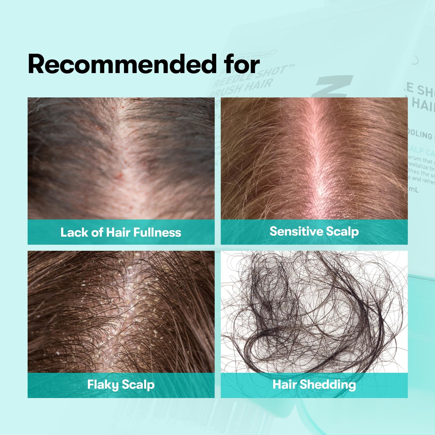 VT COSMETICS PDRN Reedle Shot Brush Hair Serum, Cooling & Refreshing Scalp Care with Vegan PDRN, Caffeine & Spicule Complex, Lightweight & Non-Greasy Daily Scalp Solution, 3.38 fl oz / 100 mL