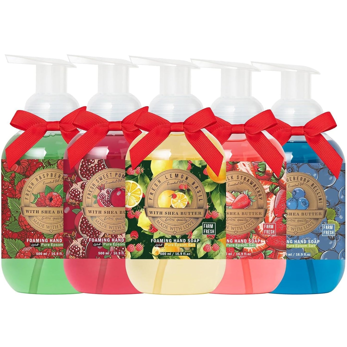 Foaming Hand Soap Gift Set - 5 Pack Fresh Fruit Scented Luxury Hand Wash | 16.9 fl. oz (500mL) with Gift Card & Premium Box