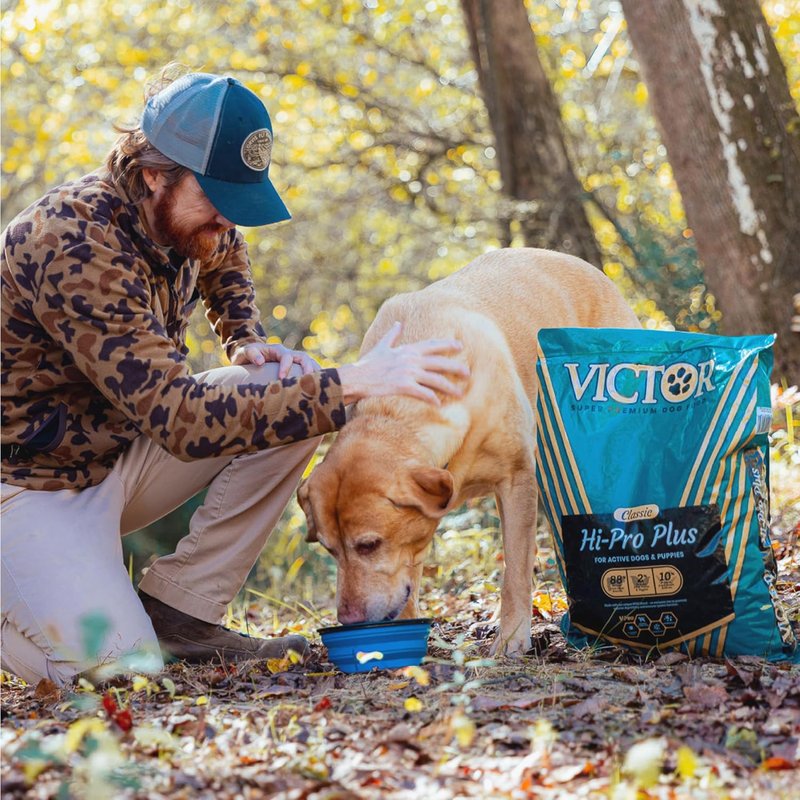 VICTOR Super Premium Dog Food - Hi-Pro Plus High Protein Kibble for Active Dogs & Puppies | 30lbs, Gluten-Free