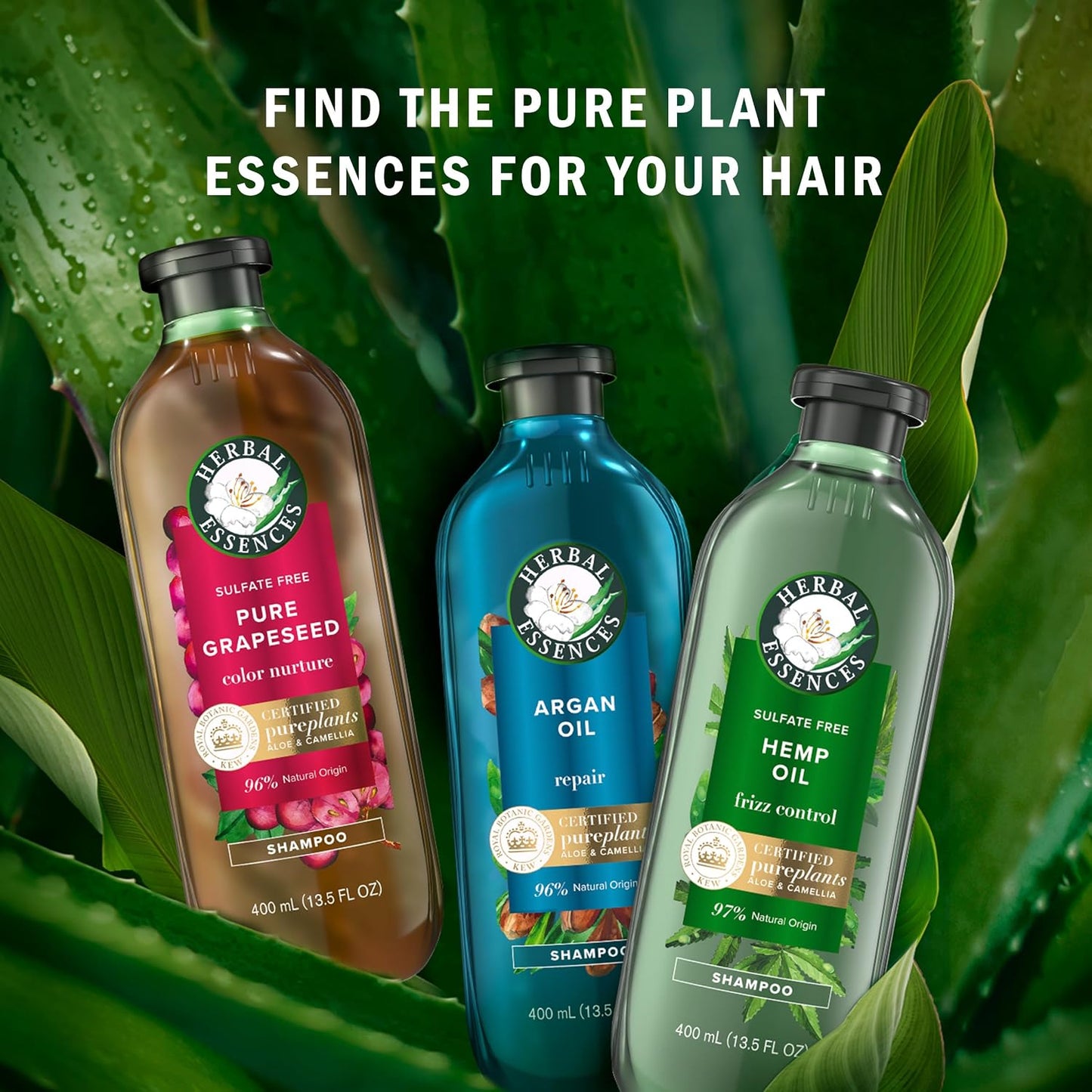 Herbal Essences Argan Oil Conditioner - Paraben Free Hair Repair | 20.2 fl oz, With Camellia Oil & Aloe Vera