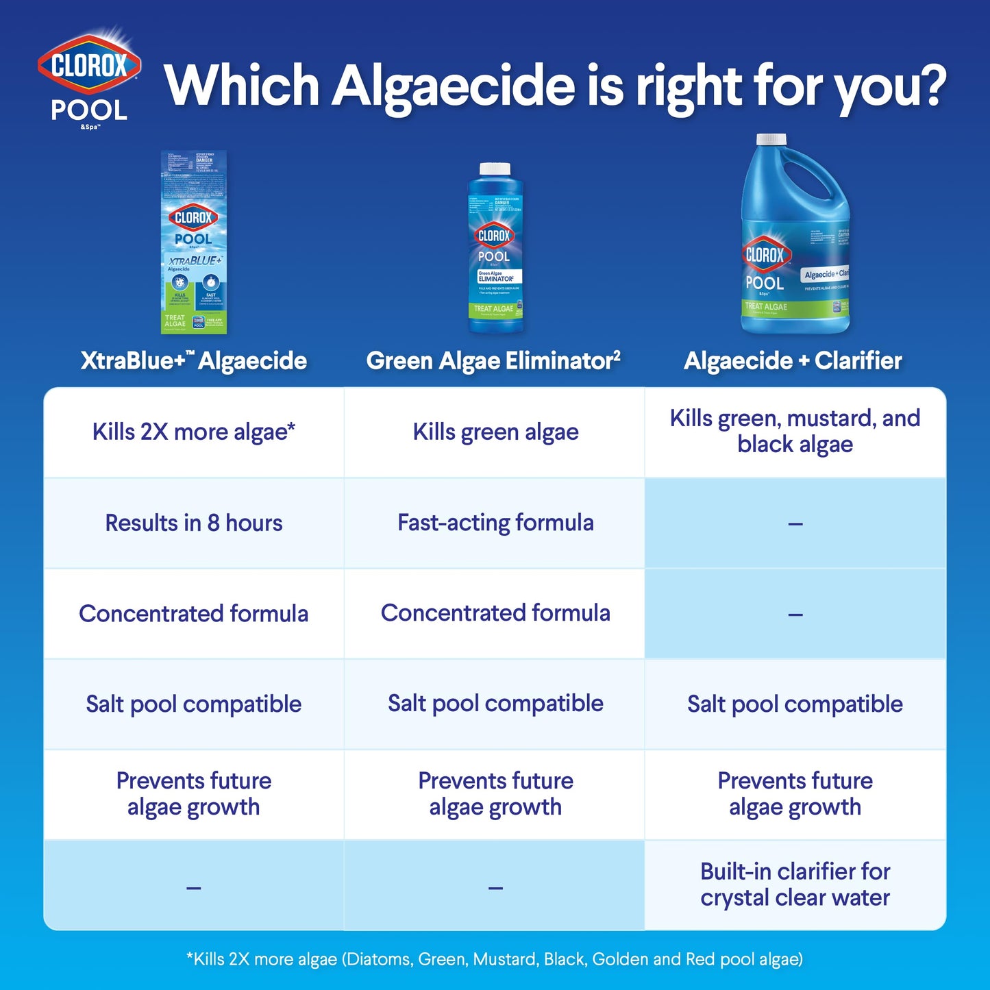 Clorox® Pool&Spa™ Swimming Pool Algaecide and Clarifier, Prevents and Treats Pool Algae, Clears Water, 128 Fl Oz (Pack of 1)