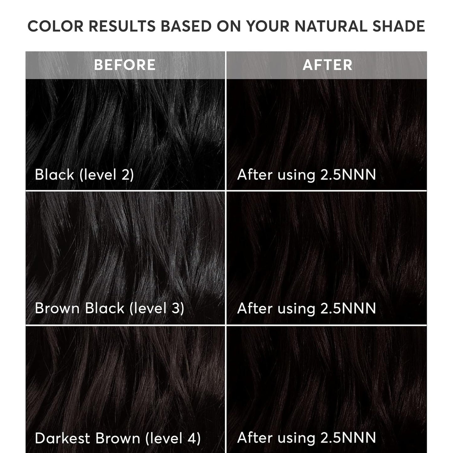 Radiant Hair Color Kit - 100% Gray Coverage for Resistant Grays, PPD-Free & Ammonia-Free | 2.5NNN Soft Black (Parma Black)