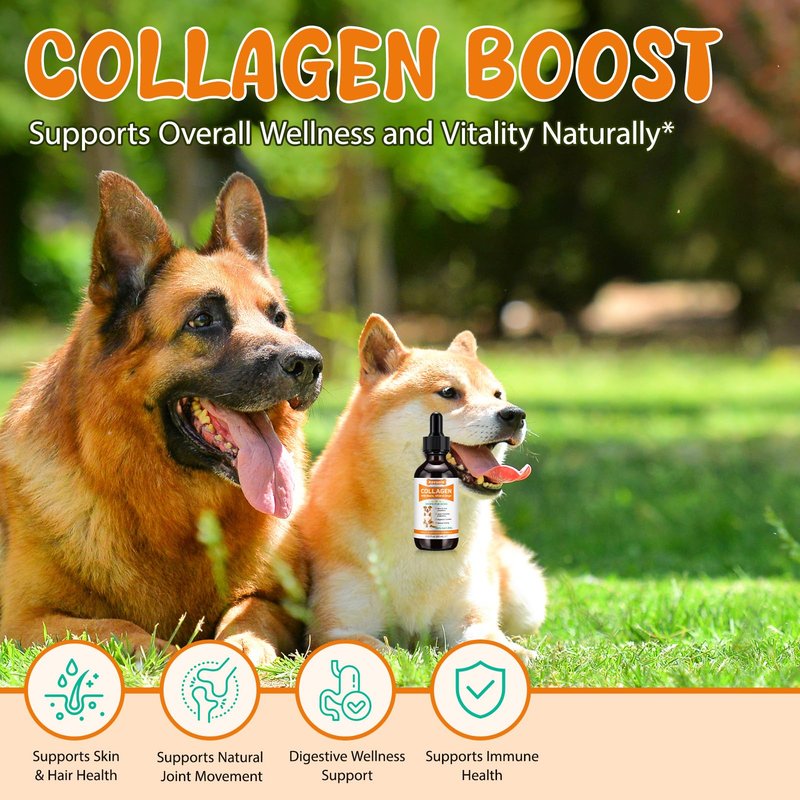 Collagen for Dogs – Joints, Skin & Coat Health Support Liquid Collagen Drops for Dogs, Itchy Relief & Digestive Care, Dog Supplements with Biotin, MSM & Ginger, 60ml Daily Wellness Formula