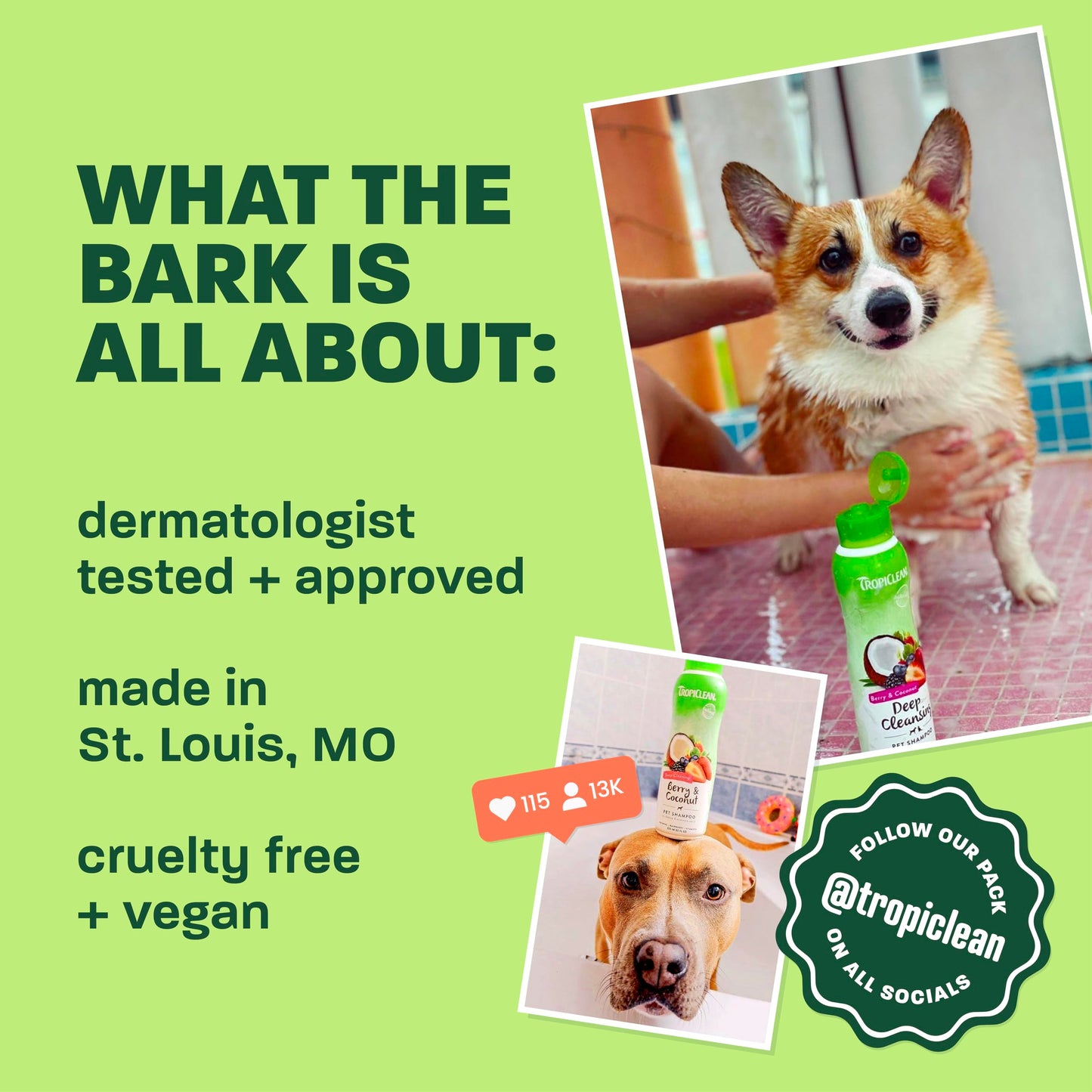 TropiClean 2-in-1 Dog Shampoo and Conditioner, Moisturizing Dog Detangler, Puppy Safe, Made in the USA, Papaya Scent, Cat & Kitten Safe, 20oz.