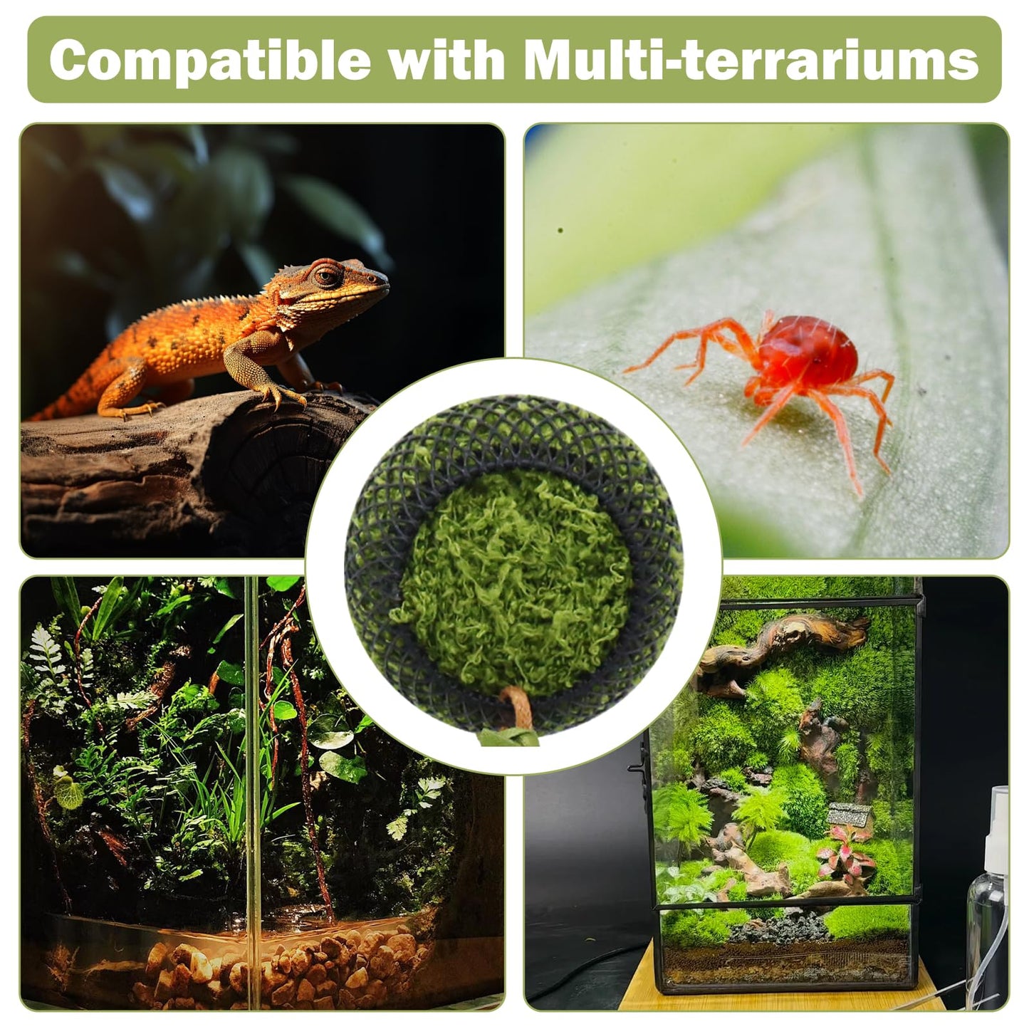 Reptile Hide with 2pcs Strong Magnet, Leather Jumping Spider Hideout with Magnet - Mesh Natural Habitat Decor for Spider Enclosures, Reptiles & Amphibians - Secure Hiding Cave Accessories