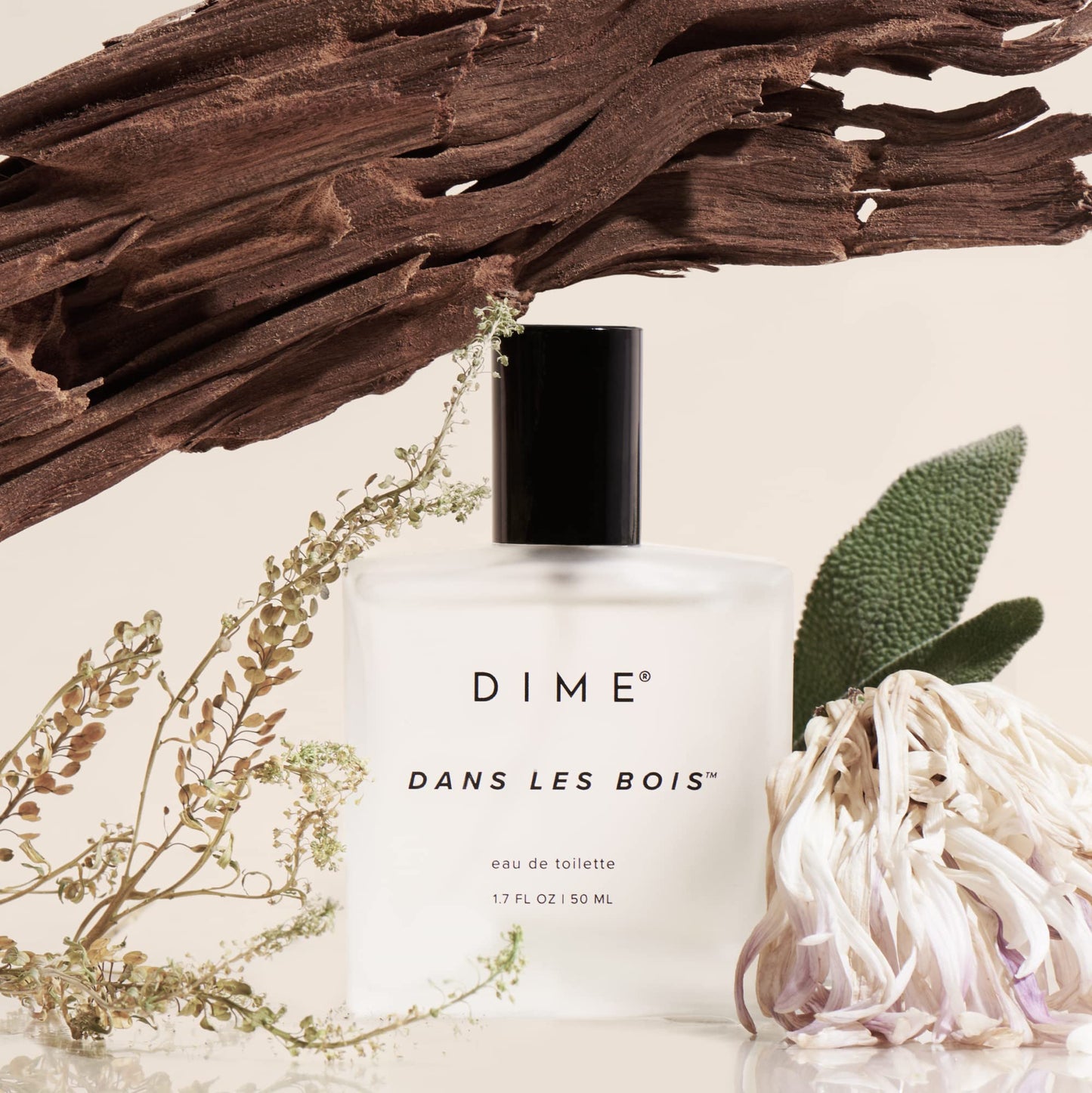 DIME Beauty Perfume Dans Les Bois - Woody Floral Perfume for Women with Cedarwood, Saffron & Night Jasmine, Clean Fragrance, Eau de Toilette, Vegan, 1.7 oz / 50 ml