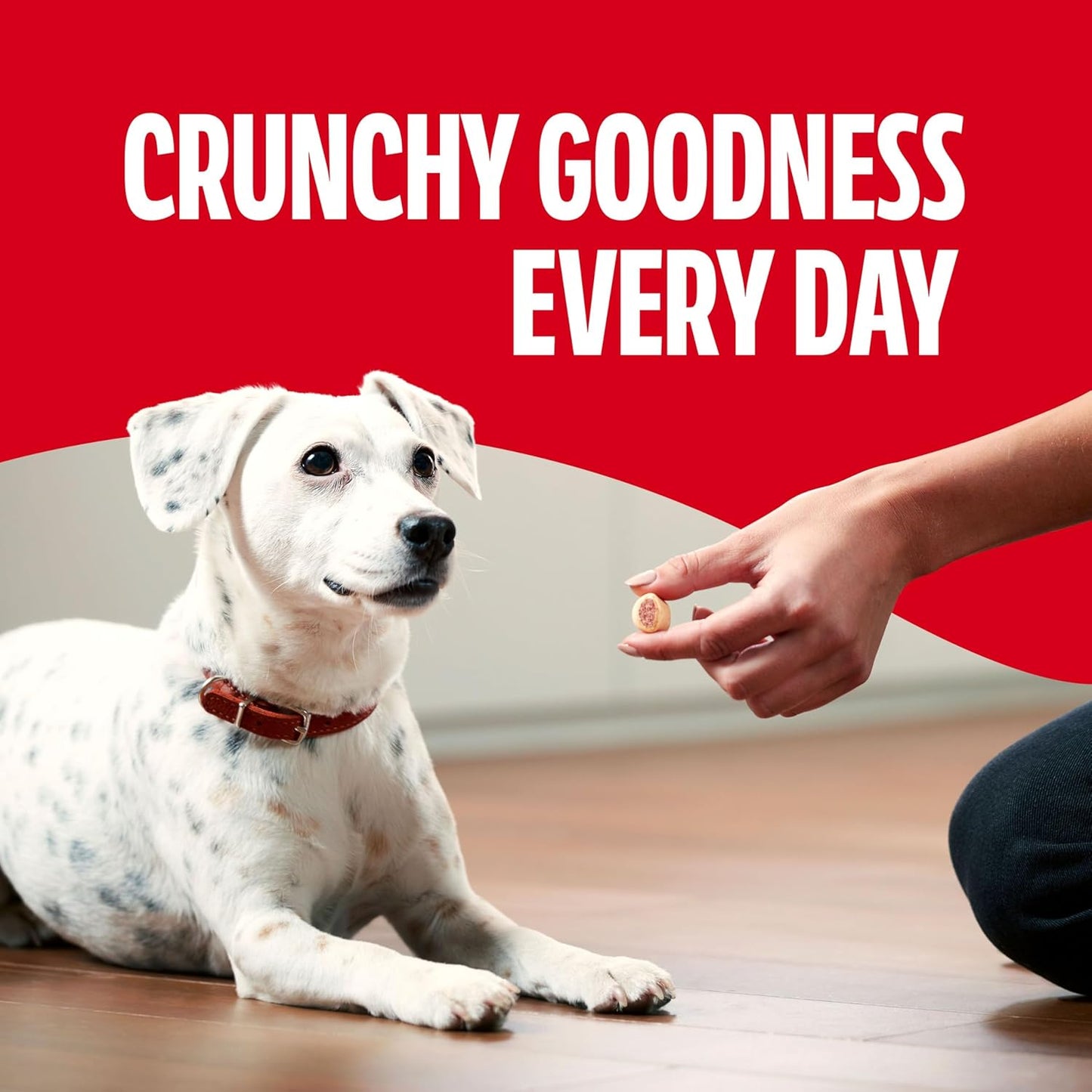 Milk-Bone MaroSnacks Small Dog Treats - Real Bone Marrow, 40 Oz Canister | Delicious & Nutritious