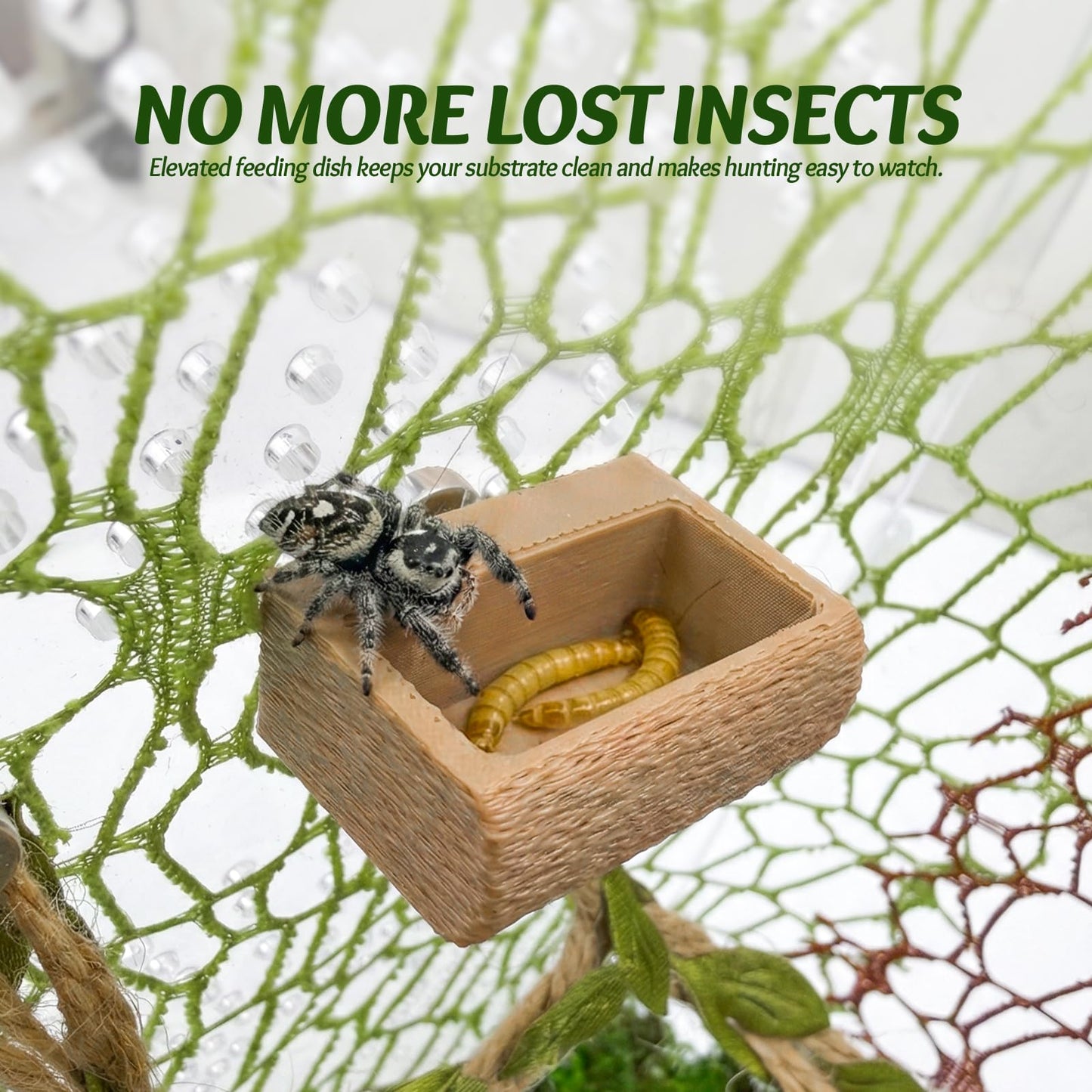 Jumping Spider Enclosure Accessories Kit - Magnetic Moss Ball Hideout, 2 Rock Ledges, Feeding Bowl, Climbing Mesh Nets & Rope Ladder - Natural Forest Habitat Decor for Regal (Moss Cave with Rope)