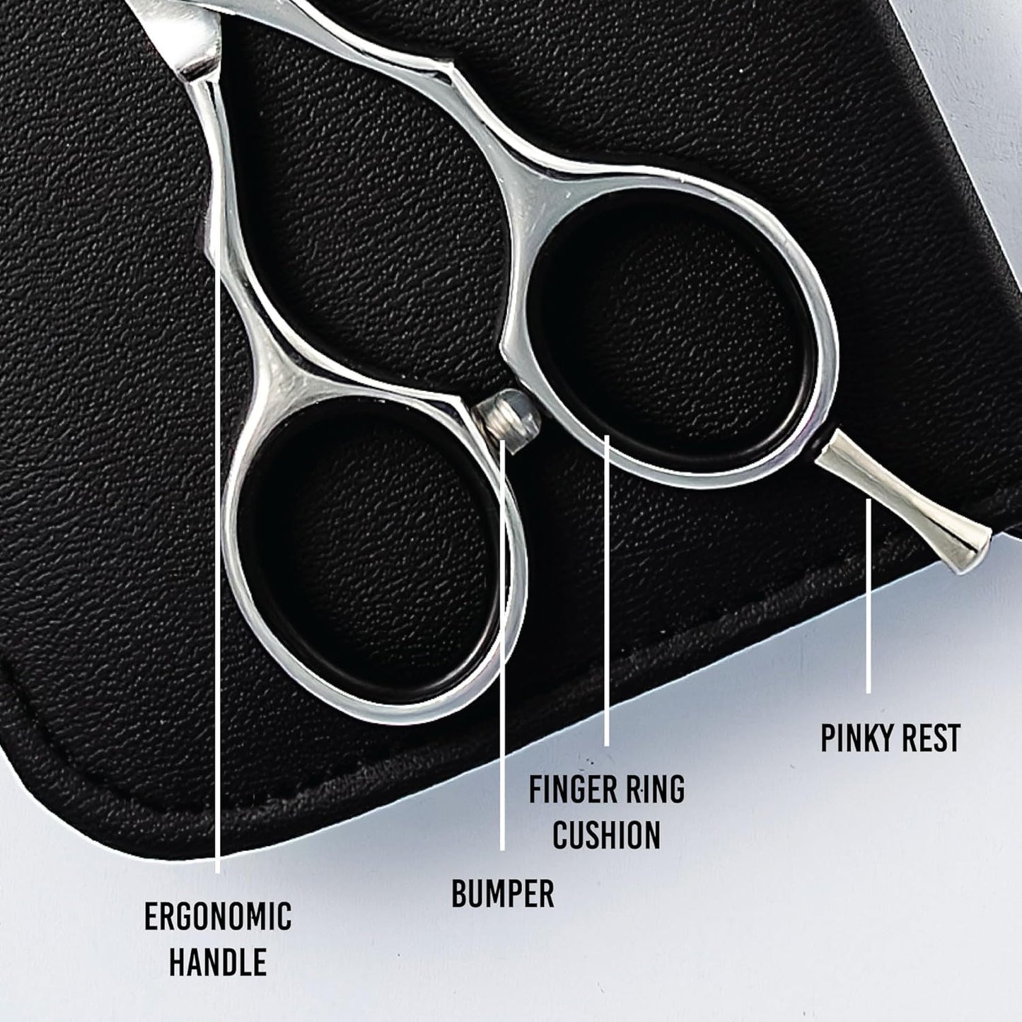 Ronin Hair Cutting Shears Set - 6.5" Professional Stainless Steel Scissors | Regular & Thinning Grooming Kit for Barbers & Stylists