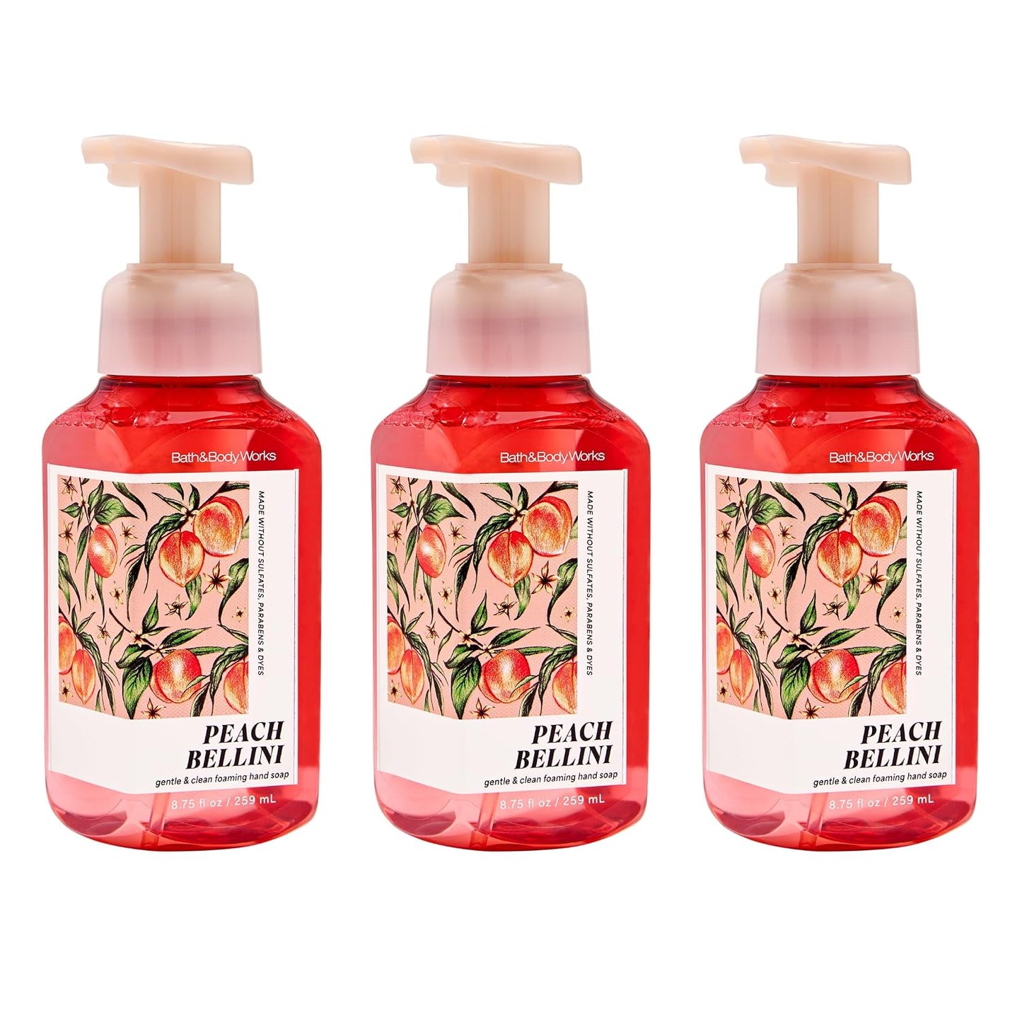Gentle Foaming Hand Soap - White Tea & Sage, Germ-Cleansing Formula | 3-Pack