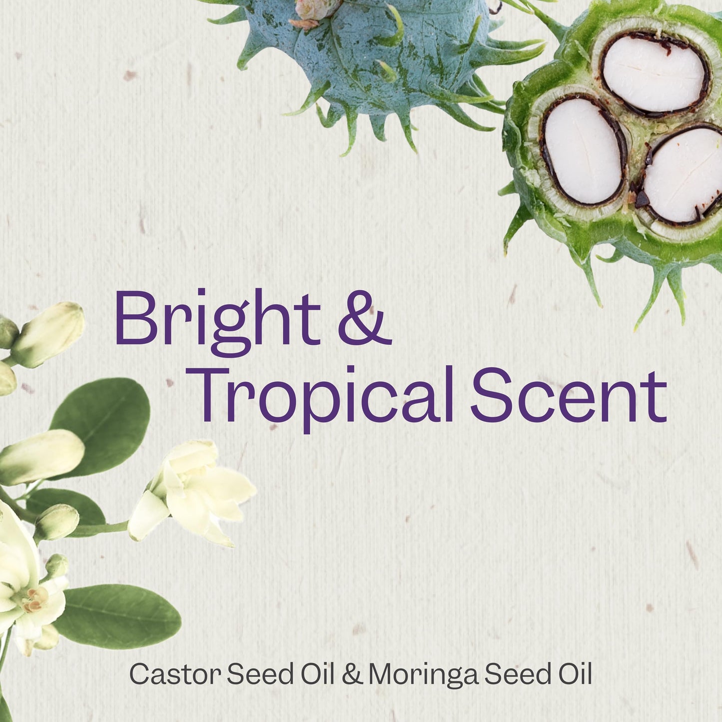 Renpure Castor Oil & Moringa Curl Enhancing Shampoo & Conditioner 2x24oz