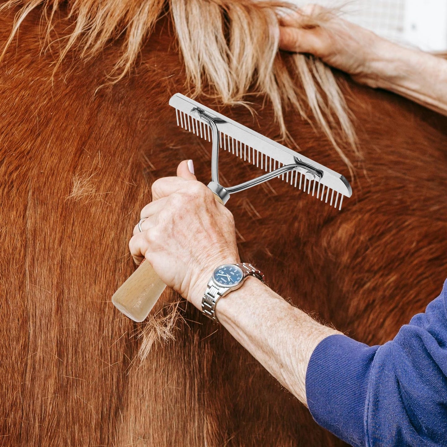 Angoily Horse Nail Rake, Livestock Brush Practical Hair Comb with Wooden Handle Metal Pins, Pet Hairbrush Dog Cat Undercoat Rake Grooming Tool for Cattle Goat Sheep, Cleaning Supply for Removing Mud