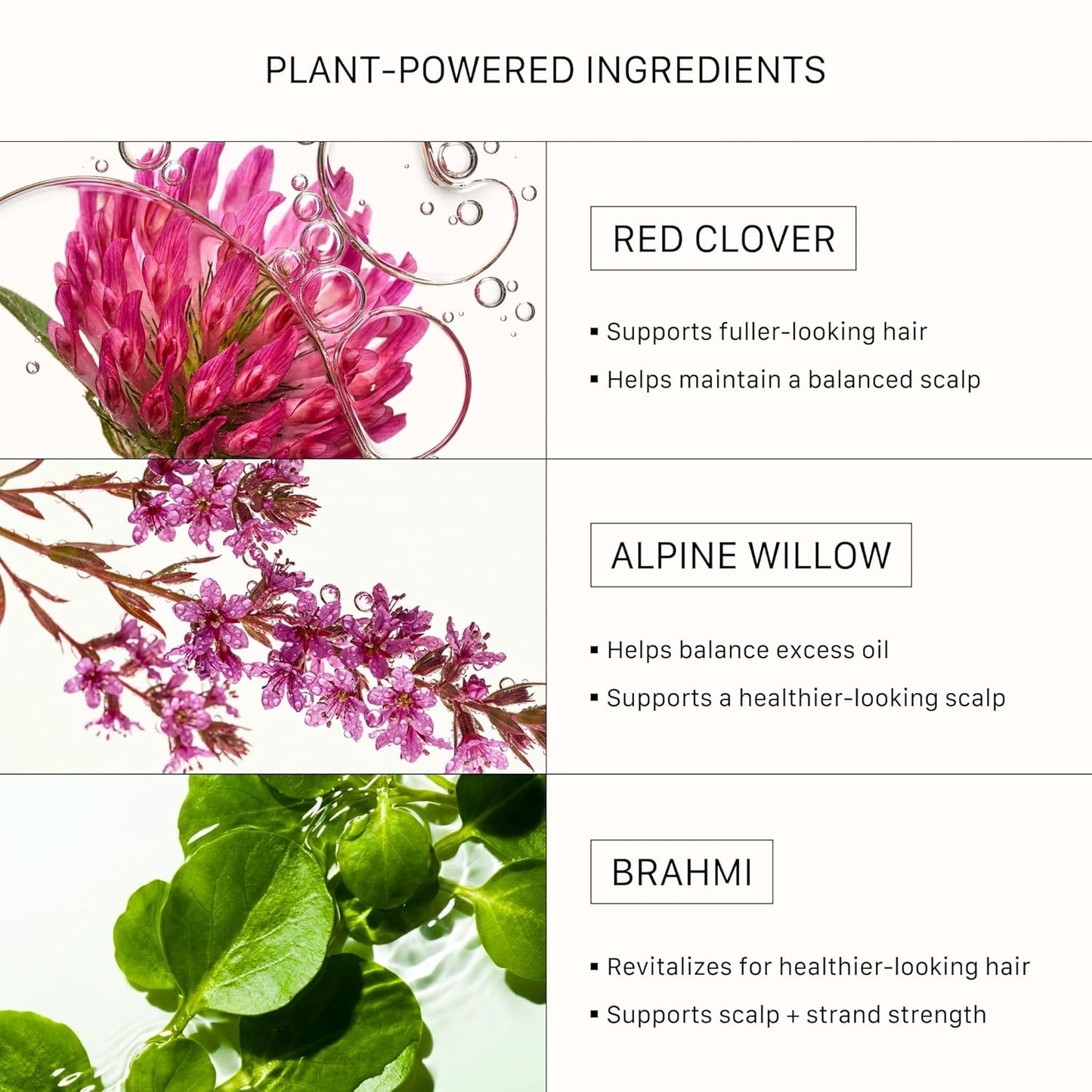 ACTIIV Renew Healing Shampoo Treatment - Plant-Based, Vegan Formula for Healthy, Beautiful Hair | All Hair Types