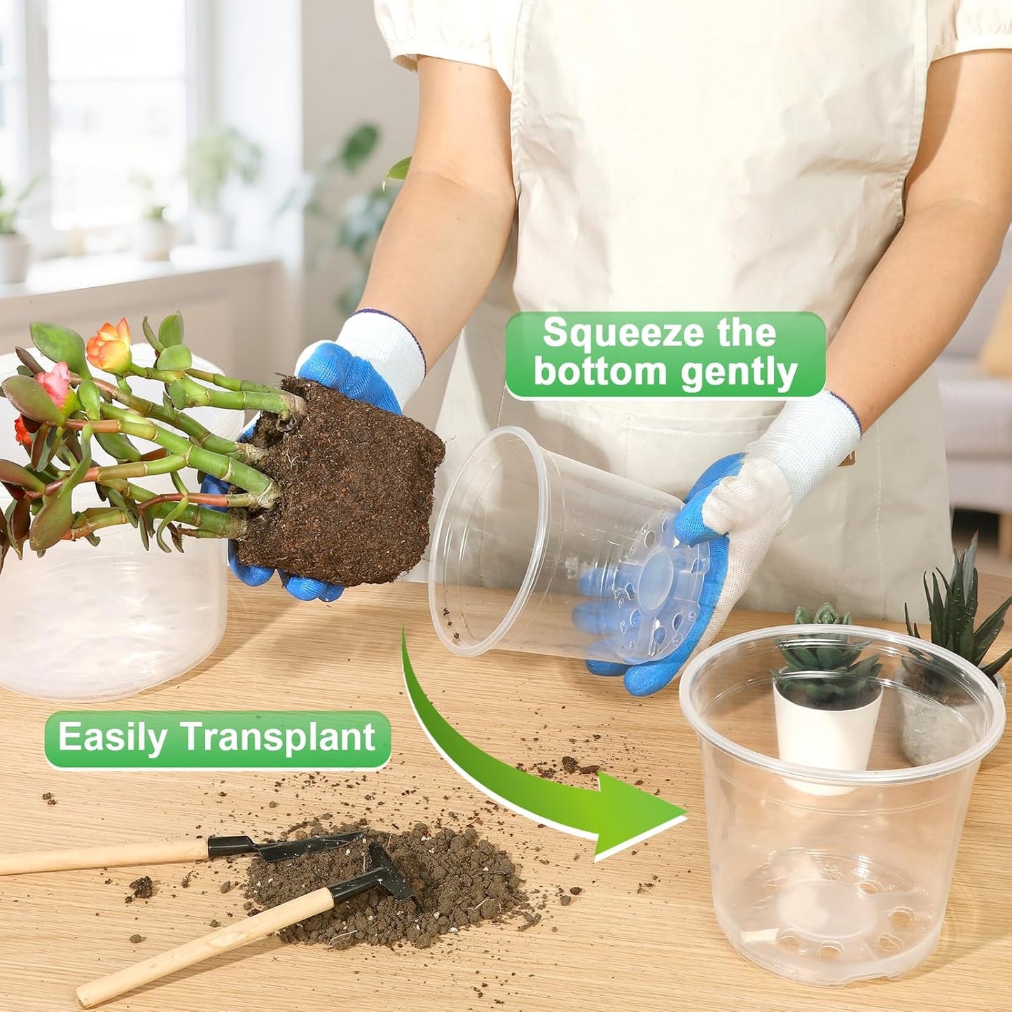 Large Clear Nursery Pots - 10/8/6/5 Inch with Drainage Holes | 16 Pack Plastic Plant Pots for Succulents & Seedlings
