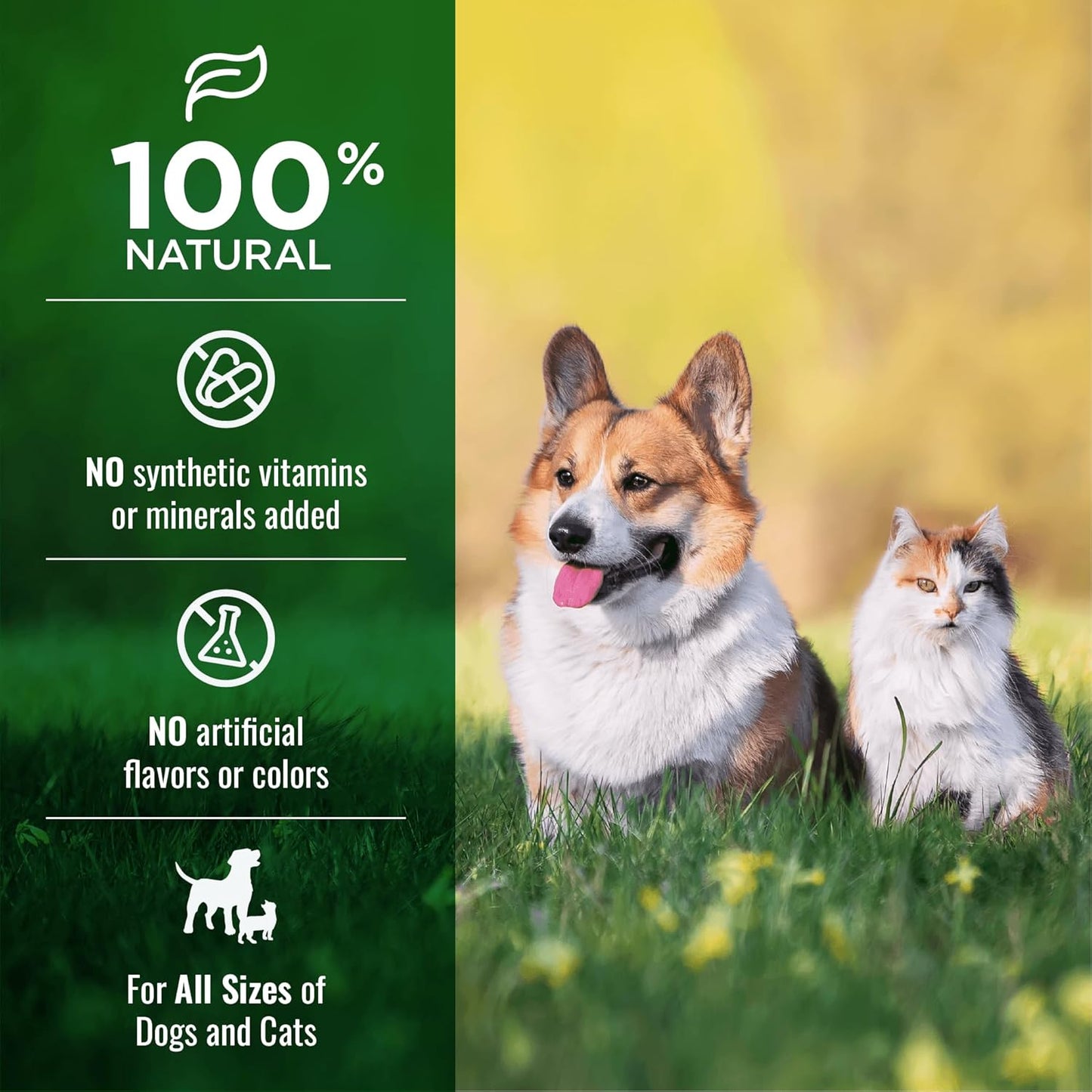 Beef Lung Dog & Cat Treats - 100% Natural USDA Beef - High Protein Roasted Snacks | 1lb