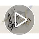 Gold Bow Shower Curtain Hooks - 12 Pack Rust Proof Rings for Elegant Bathroom Decor