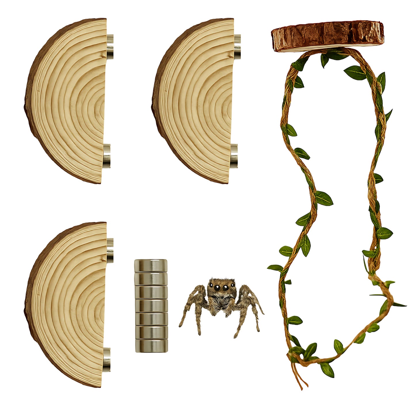 Jumping Spider Enclosure Accessories - 3 Wood Ledges & 1 Climbing Rope