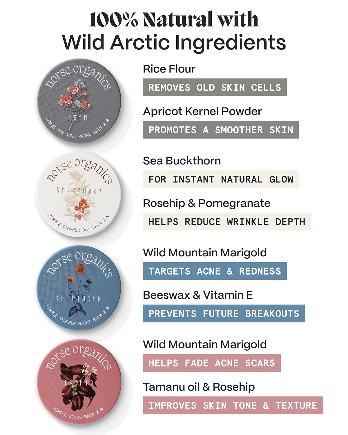 Norse Organics Complete Pimple Treatment Kit - 4 Step Skincare System with Natural Arctic Herbs | Day & Night Balms, Scrub, Scar Balm | All Skin Types (4 pcs)