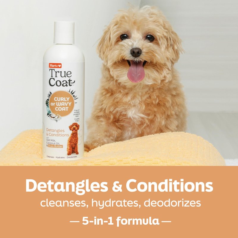 True Coat Curly or Wavy Dog Shampoo, 5 in 1 Detangles & Conditions with Oat Milk, Coconut Oil & Shea Butter, 16 oz