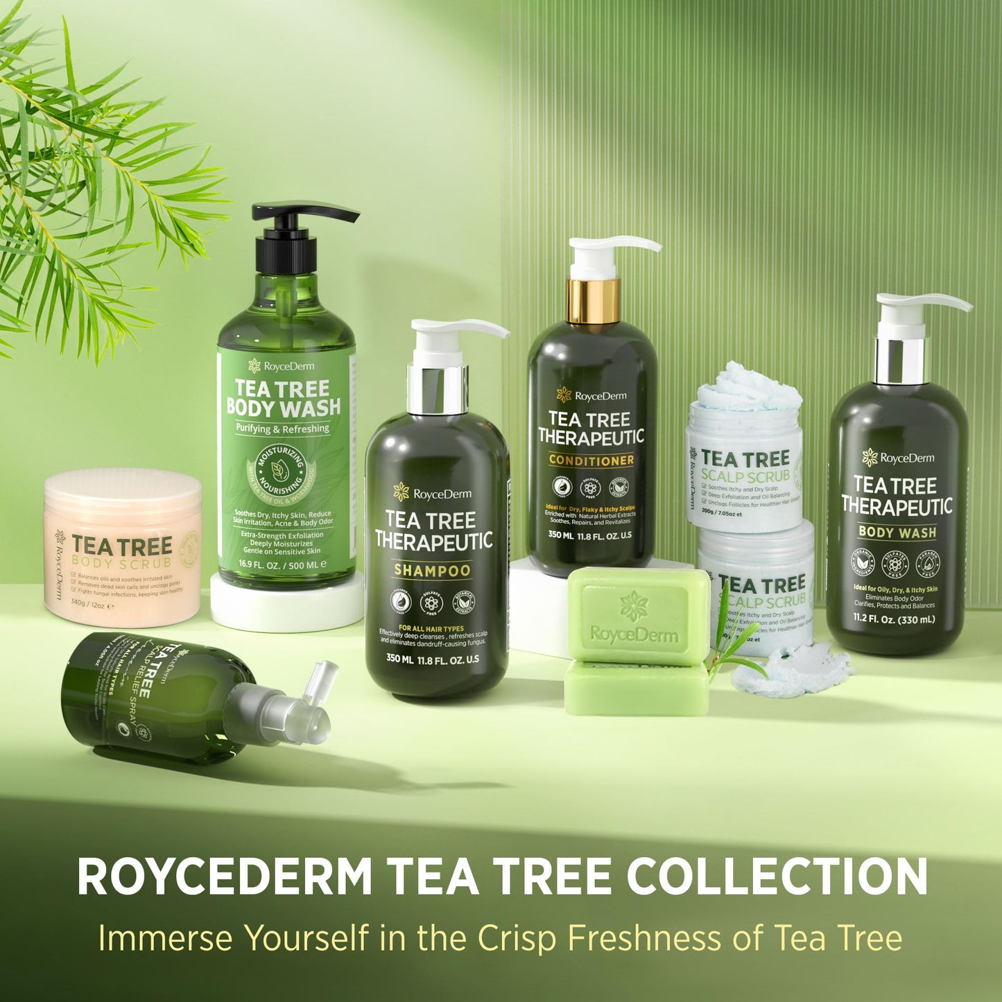 Roycederm Tea Tree Antifungal Scalp Care Set – Pre-Shampoo Scrub + Tea Tree Antifungal Shampoo + Hydrating Conditioner – Itchy & Dry Scalp Relief, Dandruff & Folliculitis Treatment