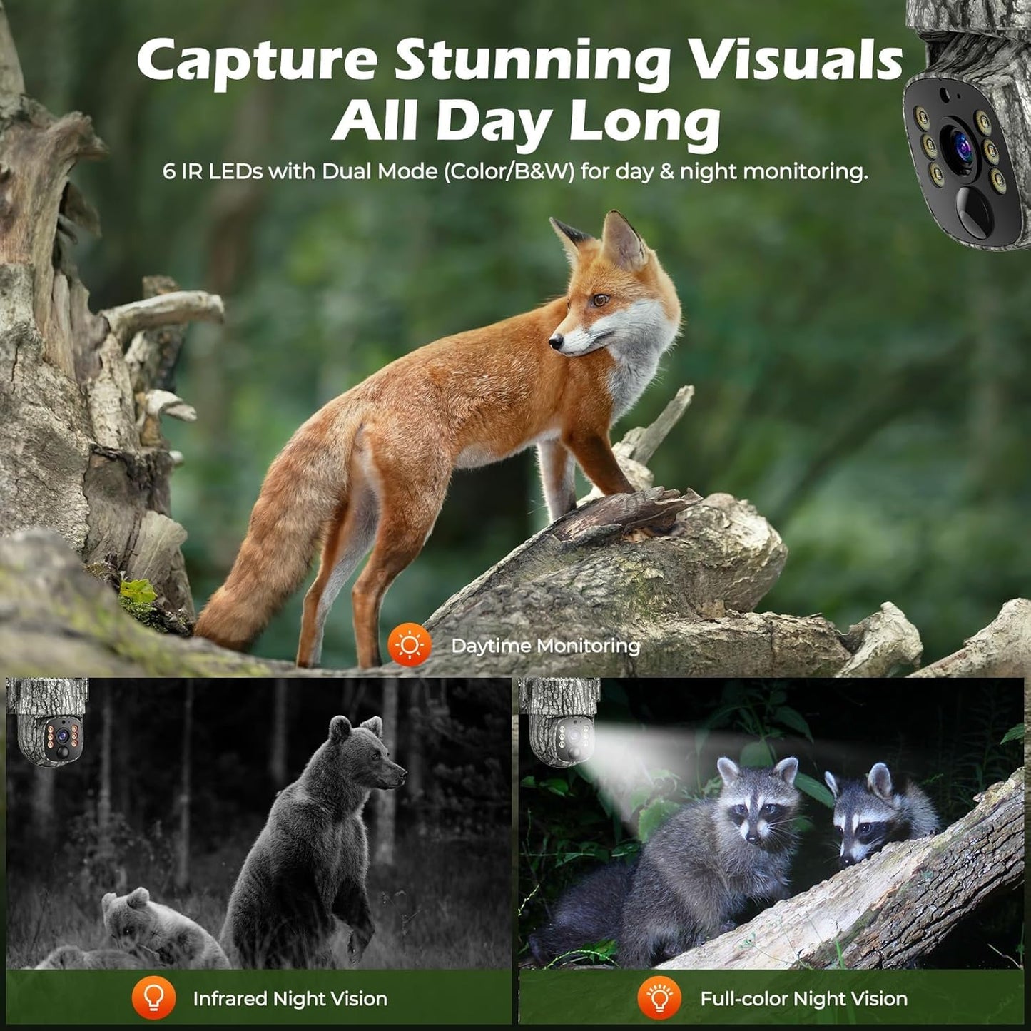 4G LTE Cellular Trail Camera - 360° Live Streaming, Night Vision | 2 Pack with SIM Card Included