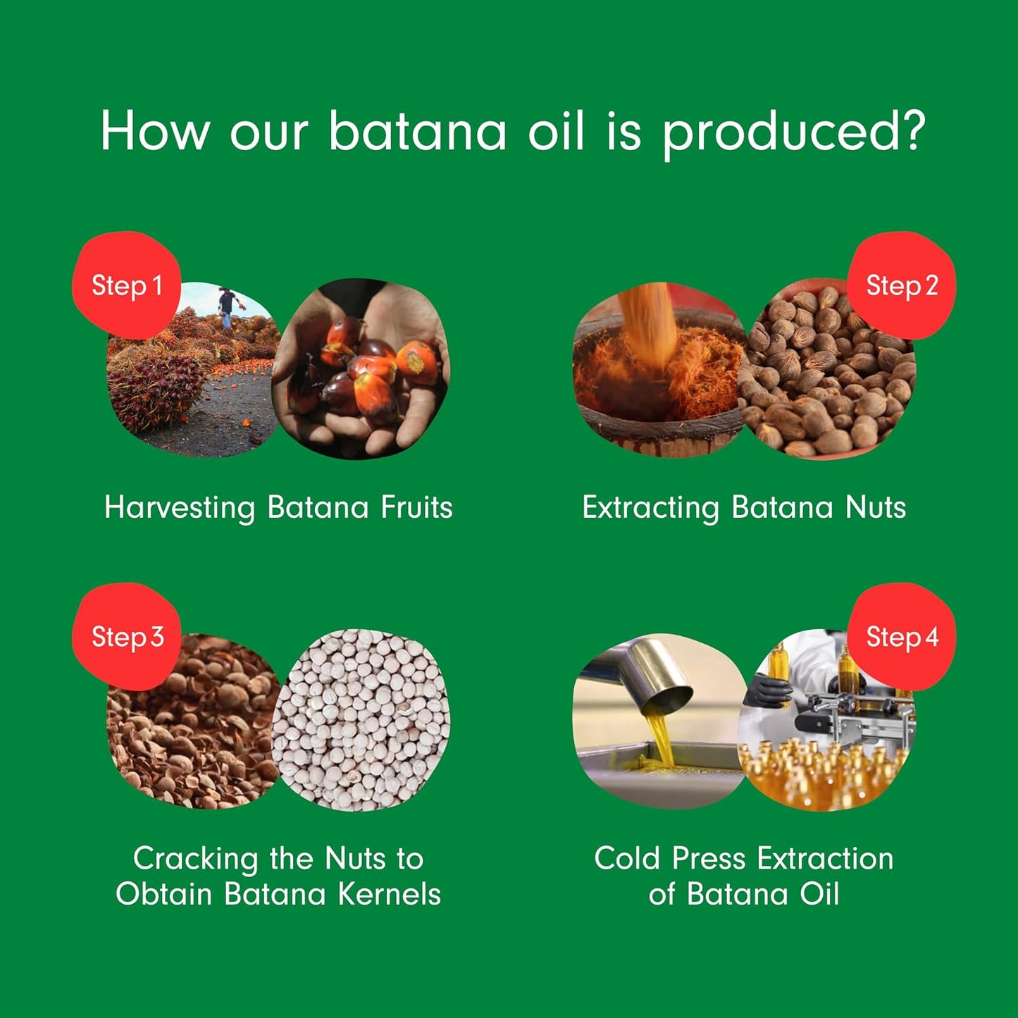 Batana Oil - 100% Pure Organic Leave-In & Pre-Wash Oil for Dry, Damaged Hair - Scalp & Hair Care | 4 fl oz