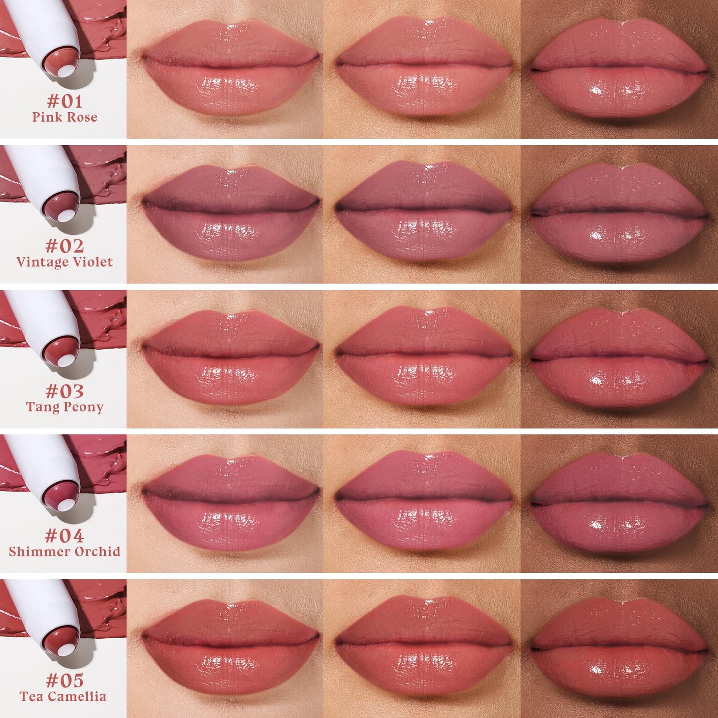 bayfree Plumping Tinted Lip Balm for Dry Lips, 5 PCS Long Lasting Hydrating Chapstick with Jojoba Seed Oil & Vitamin E, Buildable Color Lipbalm, Glossy Finish, Vegan for All Skin Tones, Garden