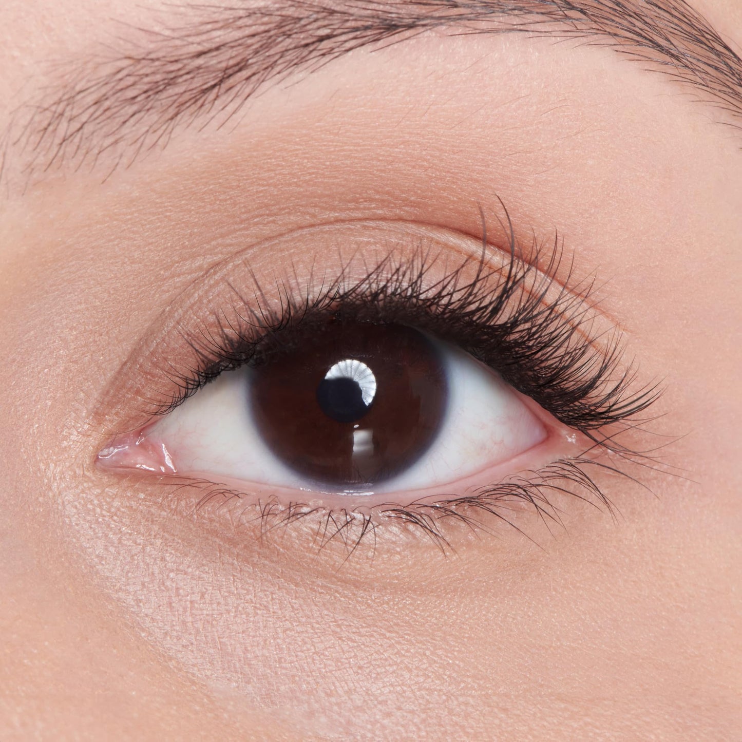 Falscara, False Eyelashes, Lash Clusters, 'Ultra Natural', 8mm-14mm, Includes 50 Wisps, Contact Lens Friendly, Easy to Apply, Reusable Lash Clusters