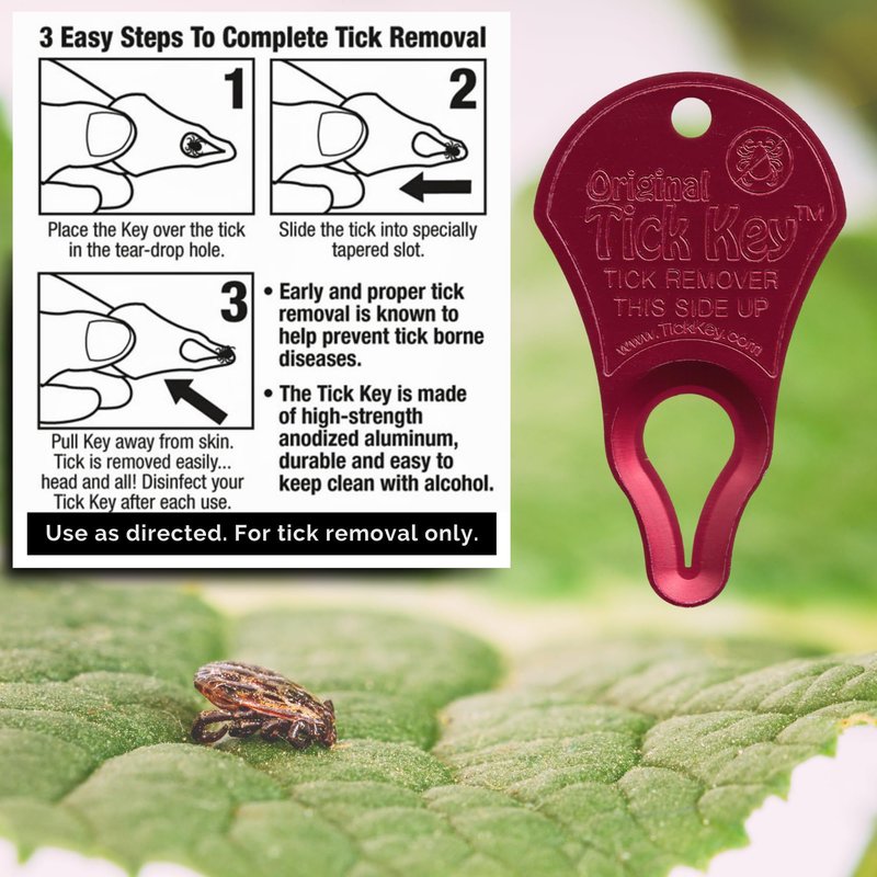 The Original Tick Key -Tick Removal Device - Portable, Safe and Highly Effective Tick Removal Tool - 3 Pack (USA)